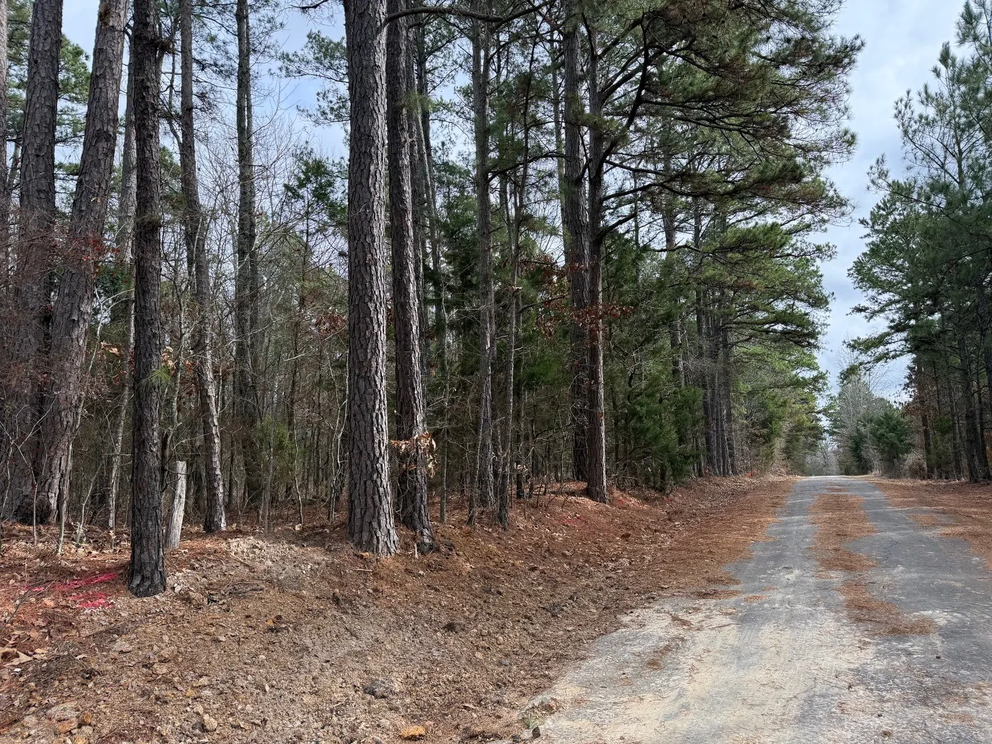 Unimproved Land For Sale in Wood County , TBD County Road 3986, Winnsboro, Texas 75494, 0, 0, Garage spaces, 0 Sqft, built in 0, mls#21357062, Real Estate Agent in Winnsboro, Homes For Sale in Wood county, Homes For Sale in Winnsboro, Realtor in Winnsboro Texas, Real Estate Brokerage Independent Realty Texas, Luminita Cordes Realtor