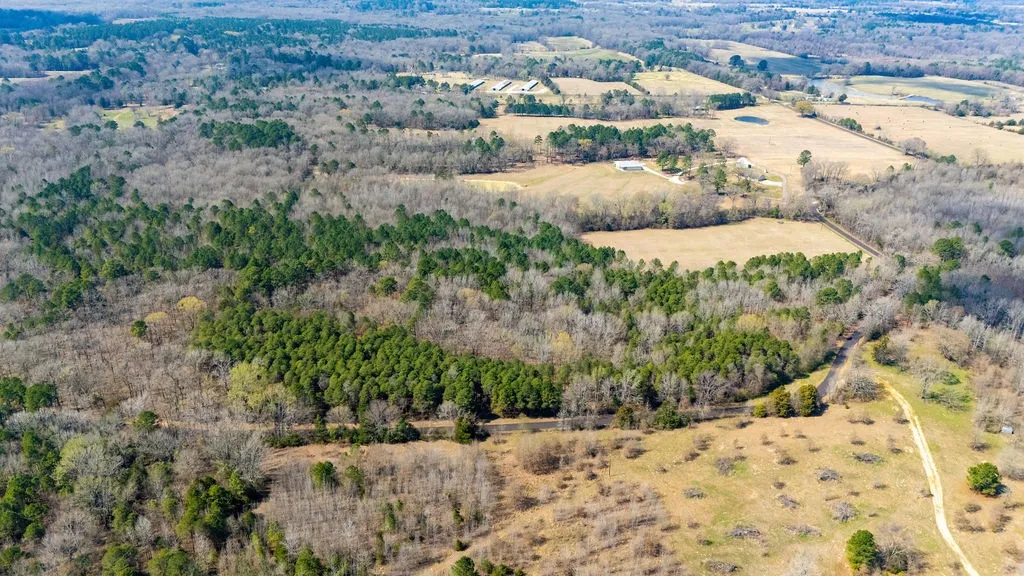 Unimproved Land For Sale in Wood County , TBD County Road 3986, Winnsboro, Texas 75494, 0, 0, Garage spaces, 0 Sqft, built in 0, mls#21357062, Real Estate Agent in Winnsboro, Homes For Sale in Wood county, Homes For Sale in Winnsboro, Realtor in Winnsboro Texas, Real Estate Brokerage Independent Realty Texas, Luminita Cordes Realtor