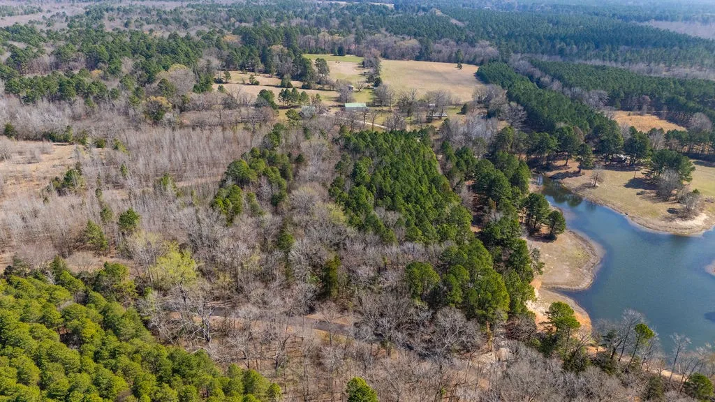 Unimproved Land For Sale in Wood County , TBD County Road 3986, Winnsboro, Texas 75494, 0, 0, Garage spaces, 0 Sqft, built in 0, mls#21357062, Real Estate Agent in Winnsboro, Homes For Sale in Wood county, Homes For Sale in Winnsboro, Realtor in Winnsboro Texas, Real Estate Brokerage Independent Realty Texas, Luminita Cordes Realtor
