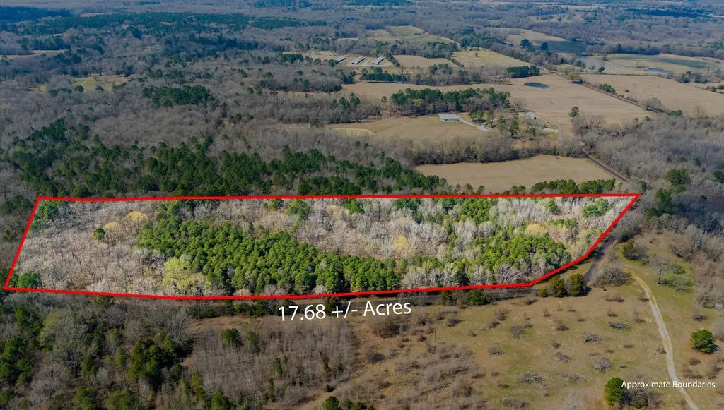 Unimproved Land For Sale in Wood County , TBD County Road 3986, Winnsboro, Texas 75494, 0, 0, Garage spaces, 0 Sqft, built in 0, mls#21357062, Real Estate Agent in Winnsboro, Homes For Sale in Wood county, Homes For Sale in Winnsboro, Realtor in Winnsboro Texas, Real Estate Brokerage Independent Realty Texas, Luminita Cordes Realtor