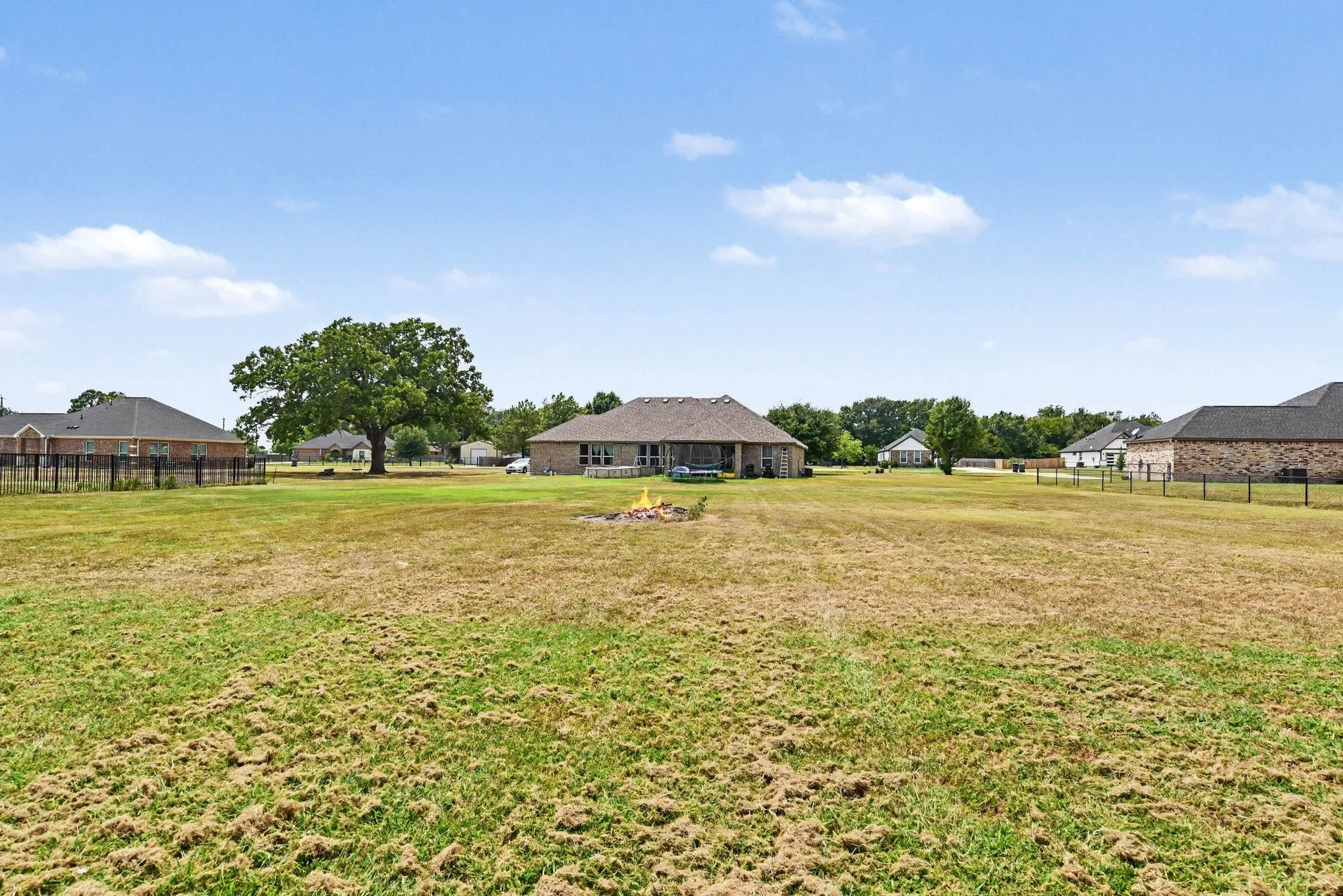 Expansive grassy yard with a mature tree