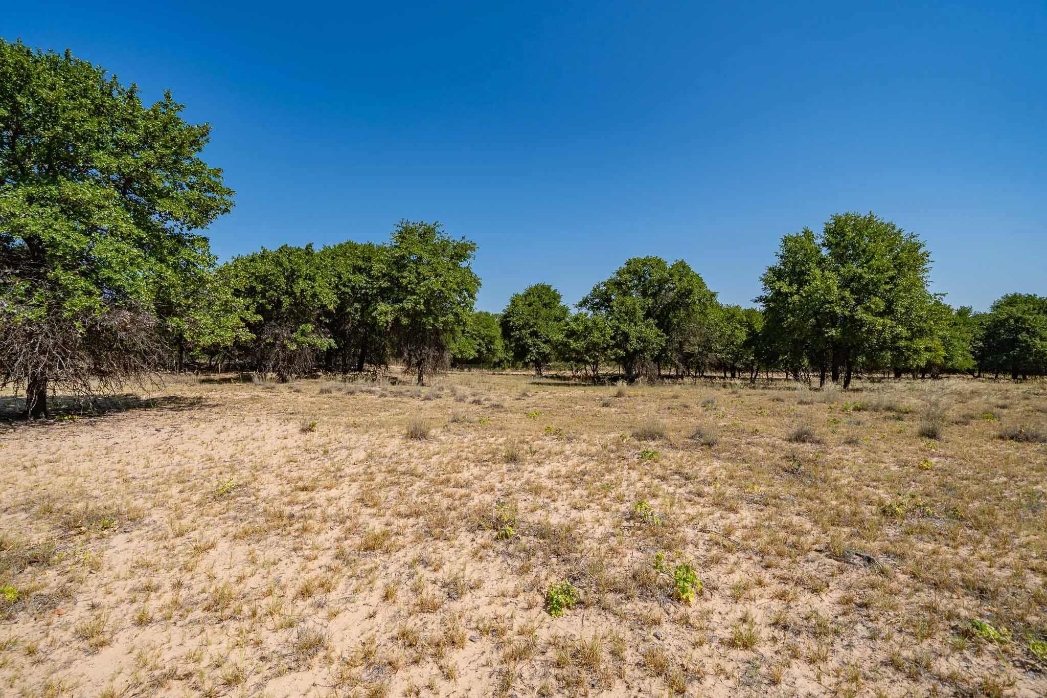 Mobile Home For Sale in Jones County , 9545 Farm Road 1226 S, Hawley, Texas 79525, 3 Bedroom, 2 Bathroom, Garage spaces, 1,680 Sqft, built in 1997, mls#21357074, Real Estate Agent in Hawley, Homes For Sale in Jones county, Homes For Sale in Hawley, Realtor in Hawley Texas, Real Estate Brokerage Independent Realty Texas, Luminita Cordes Realtor