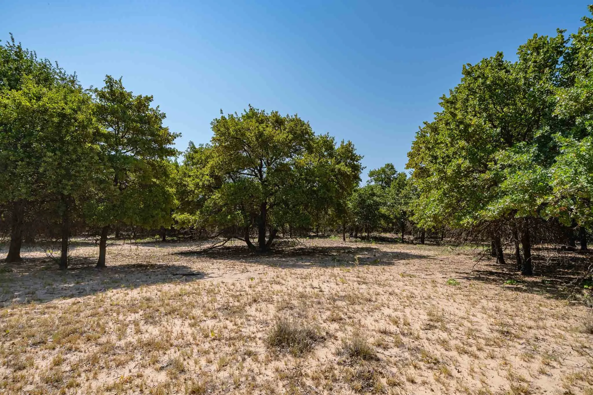 Mobile Home For Sale in Jones County , 9545 Farm Road 1226 S, Hawley, Texas 79525, 3 Bedroom, 2 Bathroom, Garage spaces, 1,680 Sqft, built in 1997, mls#21357074, Real Estate Agent in Hawley, Homes For Sale in Jones county, Homes For Sale in Hawley, Realtor in Hawley Texas, Real Estate Brokerage Independent Realty Texas, Luminita Cordes Realtor