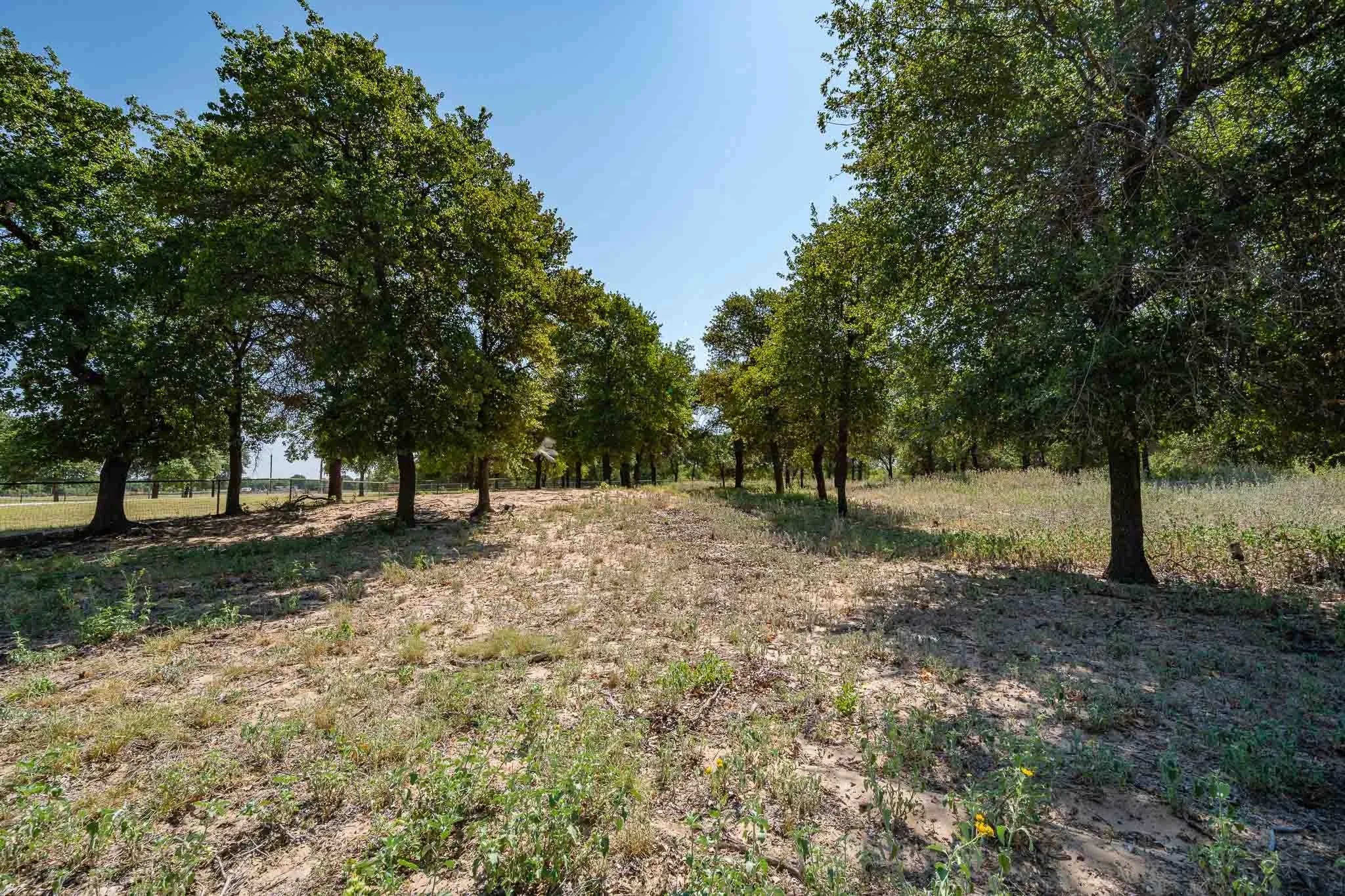 Mobile Home For Sale in Jones County , 9545 Farm Road 1226 S, Hawley, Texas 79525, 3 Bedroom, 2 Bathroom, Garage spaces, 1,680 Sqft, built in 1997, mls#21357074, Real Estate Agent in Hawley, Homes For Sale in Jones county, Homes For Sale in Hawley, Realtor in Hawley Texas, Real Estate Brokerage Independent Realty Texas, Luminita Cordes Realtor