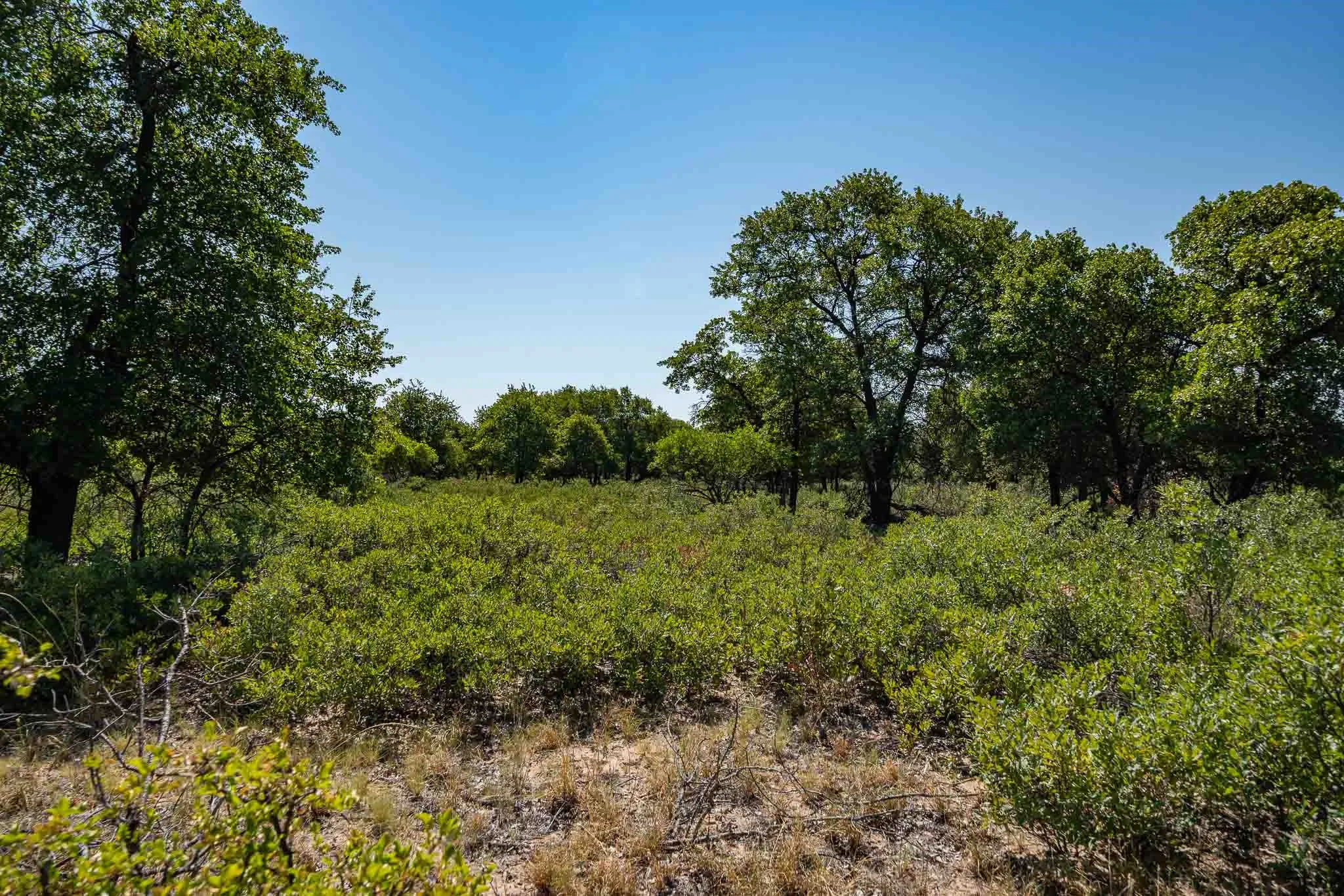Mobile Home For Sale in Jones County , 9545 Farm Road 1226 S, Hawley, Texas 79525, 3 Bedroom, 2 Bathroom, Garage spaces, 1,680 Sqft, built in 1997, mls#21357074, Real Estate Agent in Hawley, Homes For Sale in Jones county, Homes For Sale in Hawley, Realtor in Hawley Texas, Real Estate Brokerage Independent Realty Texas, Luminita Cordes Realtor