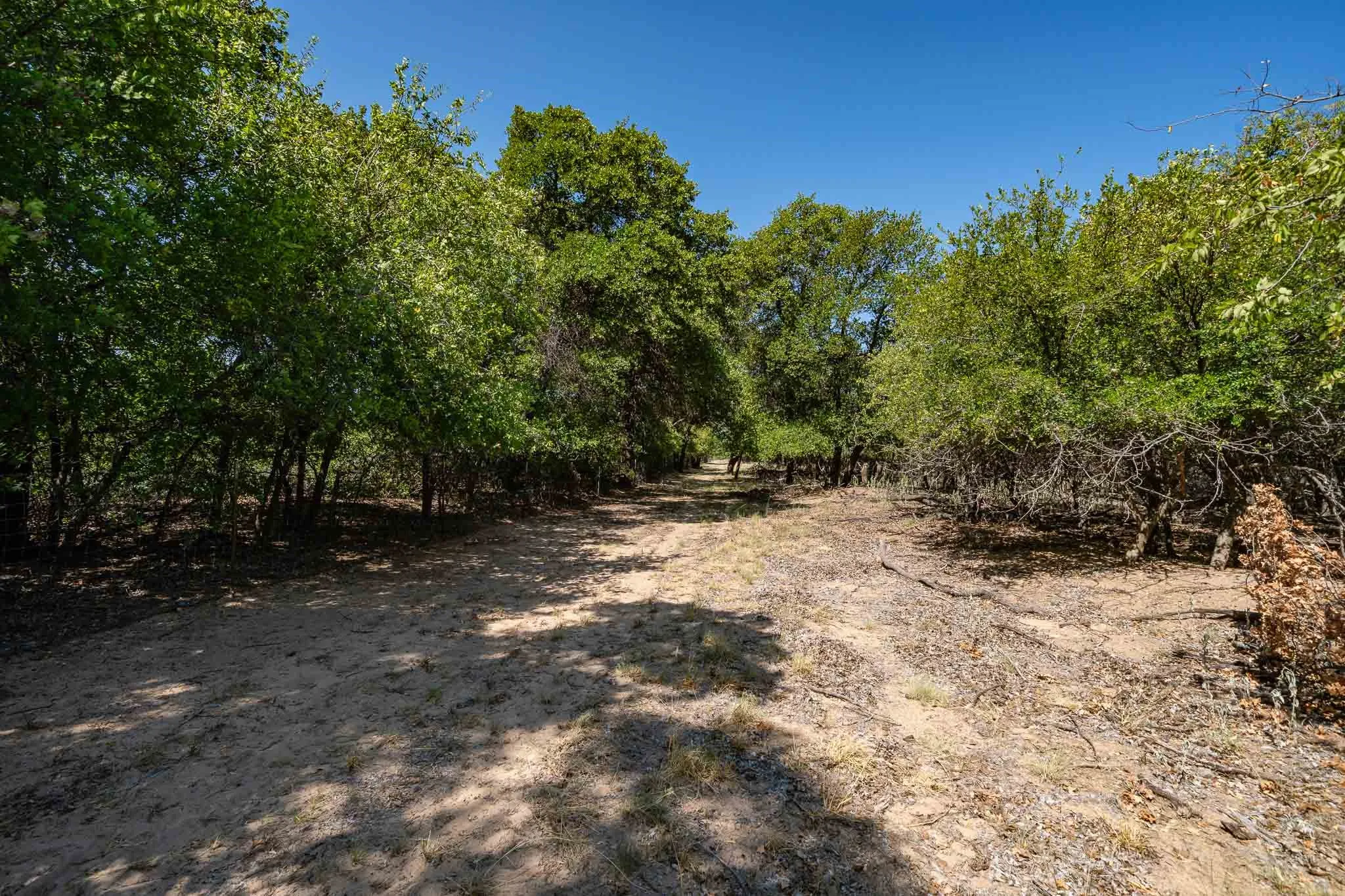 Mobile Home For Sale in Jones County , 9545 Farm Road 1226 S, Hawley, Texas 79525, 3 Bedroom, 2 Bathroom, Garage spaces, 1,680 Sqft, built in 1997, mls#21357074, Real Estate Agent in Hawley, Homes For Sale in Jones county, Homes For Sale in Hawley, Realtor in Hawley Texas, Real Estate Brokerage Independent Realty Texas, Luminita Cordes Realtor