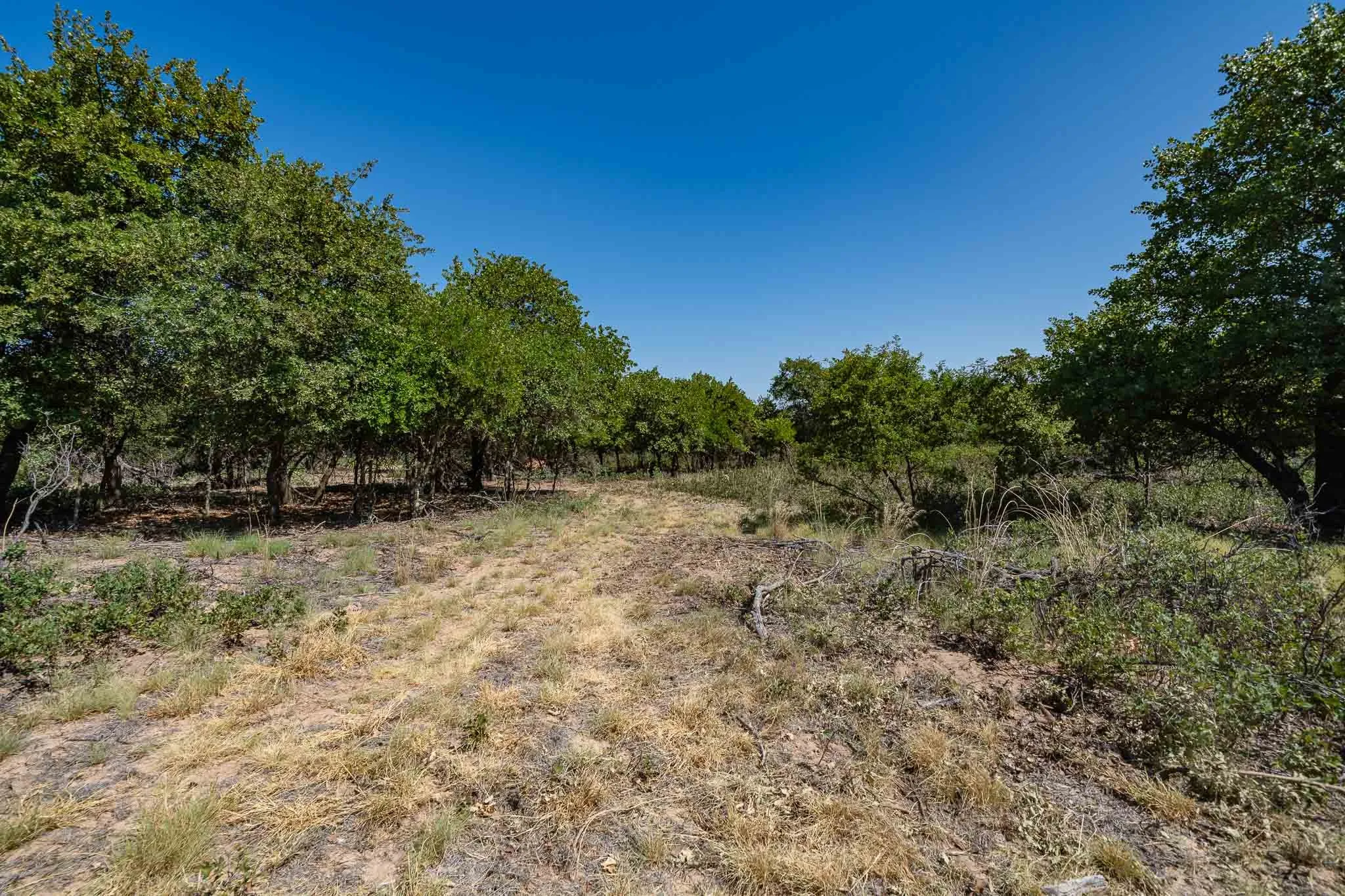 Mobile Home For Sale in Jones County , 9545 Farm Road 1226 S, Hawley, Texas 79525, 3 Bedroom, 2 Bathroom, Garage spaces, 1,680 Sqft, built in 1997, mls#21357074, Real Estate Agent in Hawley, Homes For Sale in Jones county, Homes For Sale in Hawley, Realtor in Hawley Texas, Real Estate Brokerage Independent Realty Texas, Luminita Cordes Realtor