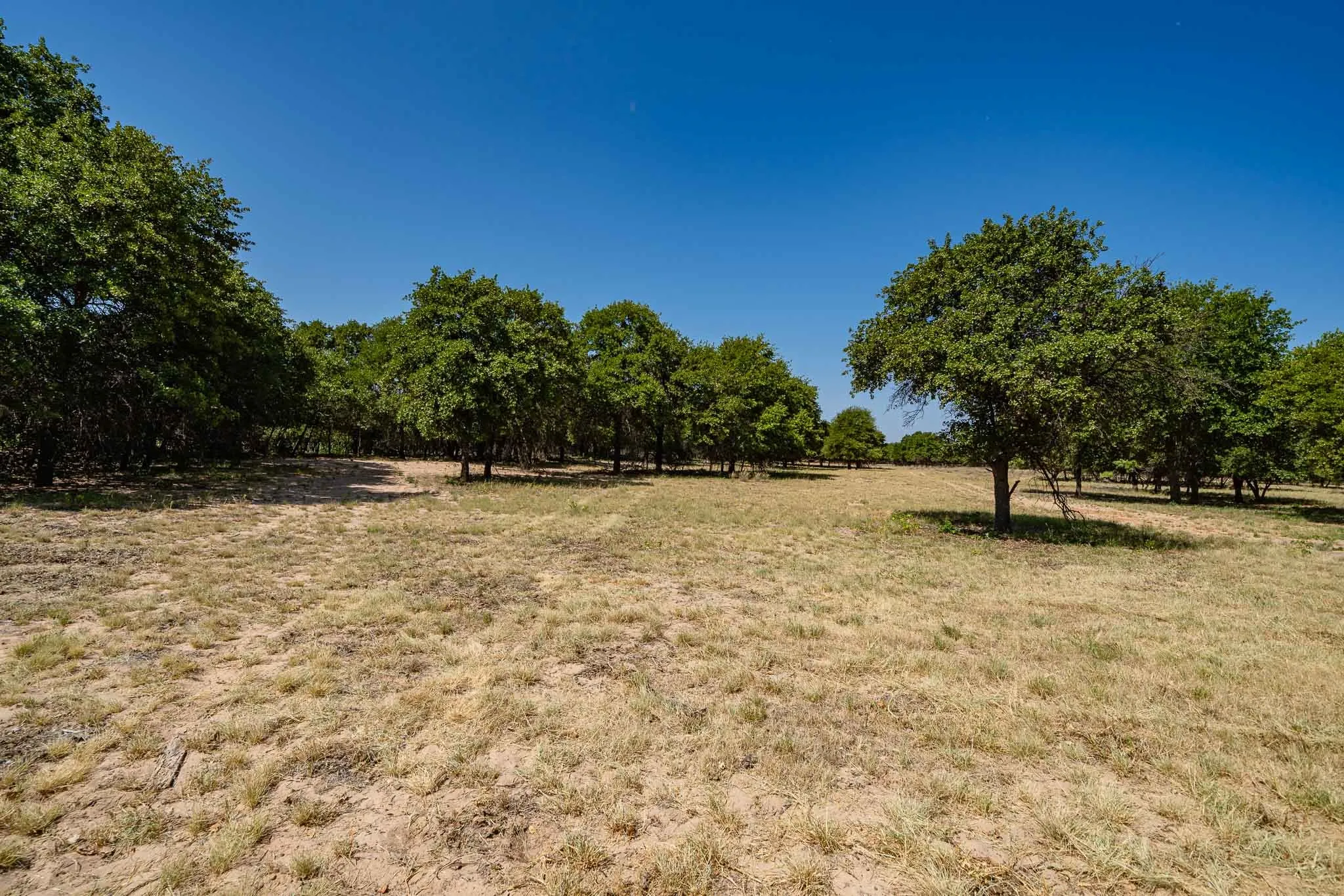 Mobile Home For Sale in Jones County , 9545 Farm Road 1226 S, Hawley, Texas 79525, 3 Bedroom, 2 Bathroom, Garage spaces, 1,680 Sqft, built in 1997, mls#21357074, Real Estate Agent in Hawley, Homes For Sale in Jones county, Homes For Sale in Hawley, Realtor in Hawley Texas, Real Estate Brokerage Independent Realty Texas, Luminita Cordes Realtor