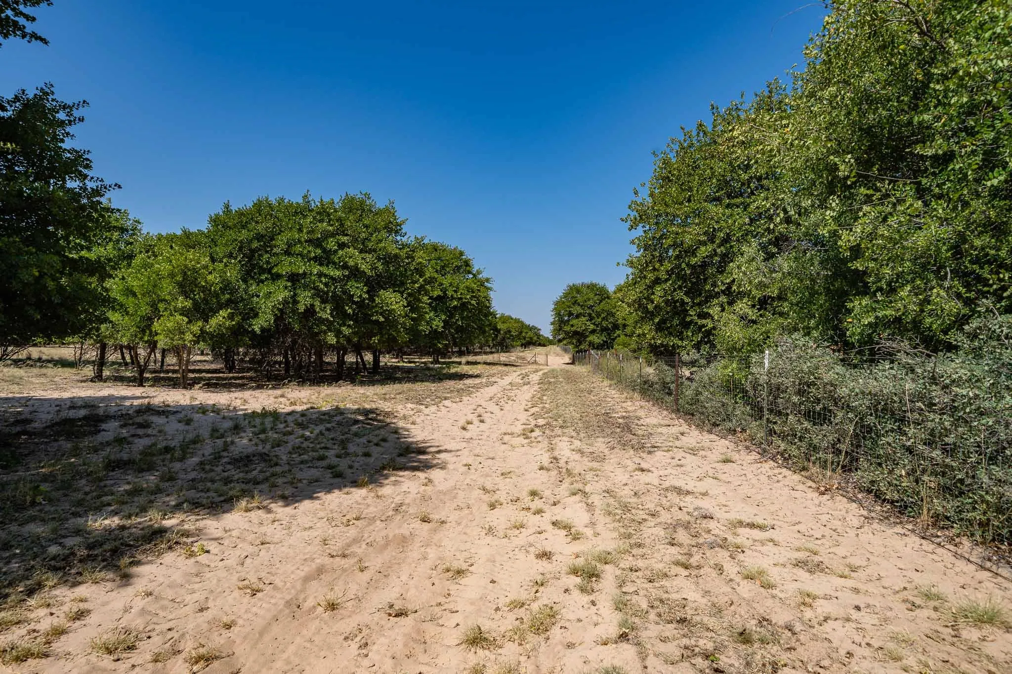 Mobile Home For Sale in Jones County , 9545 Farm Road 1226 S, Hawley, Texas 79525, 3 Bedroom, 2 Bathroom, Garage spaces, 1,680 Sqft, built in 1997, mls#21357074, Real Estate Agent in Hawley, Homes For Sale in Jones county, Homes For Sale in Hawley, Realtor in Hawley Texas, Real Estate Brokerage Independent Realty Texas, Luminita Cordes Realtor
