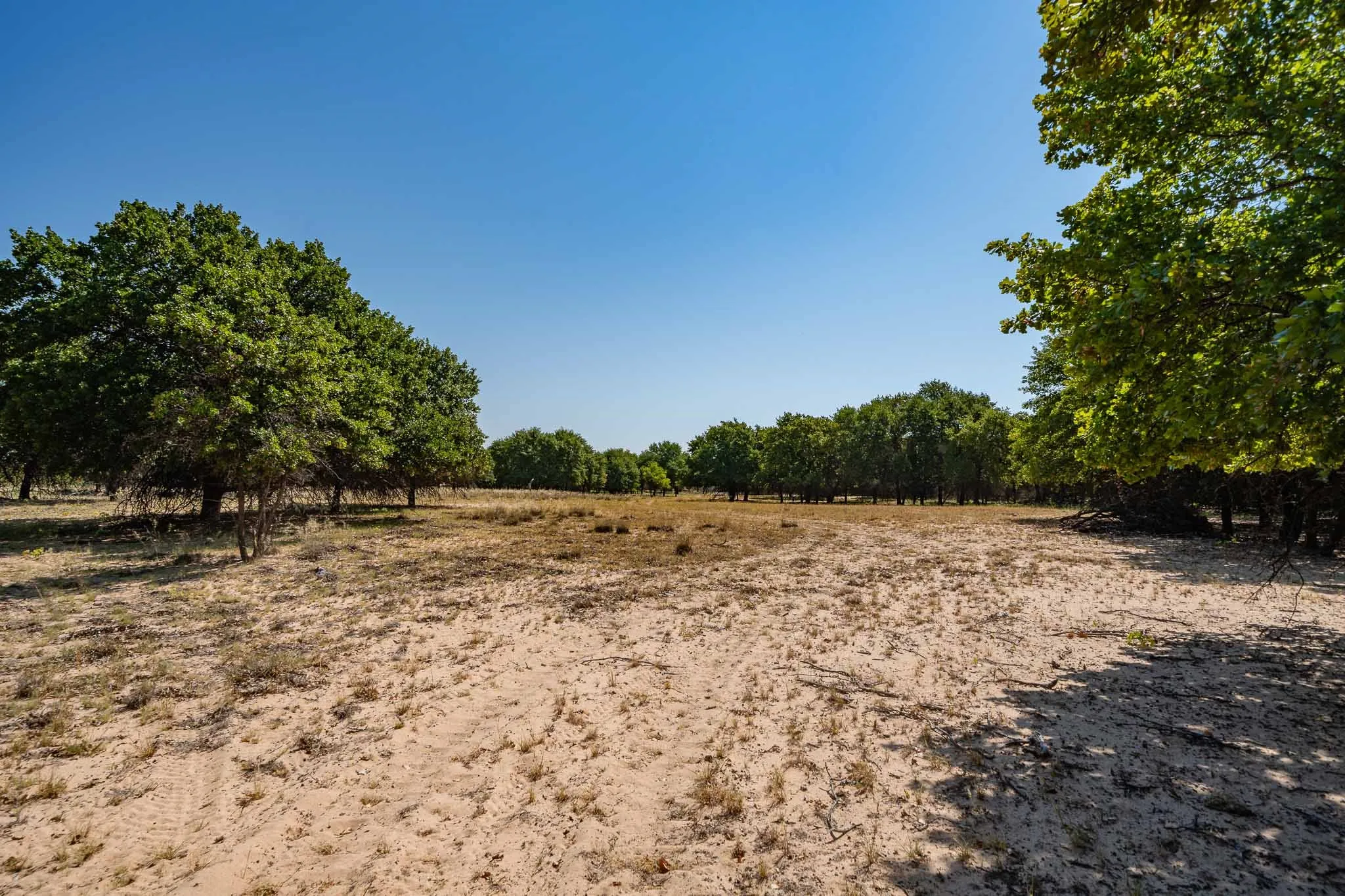 Mobile Home For Sale in Jones County , 9545 Farm Road 1226 S, Hawley, Texas 79525, 3 Bedroom, 2 Bathroom, Garage spaces, 1,680 Sqft, built in 1997, mls#21357074, Real Estate Agent in Hawley, Homes For Sale in Jones county, Homes For Sale in Hawley, Realtor in Hawley Texas, Real Estate Brokerage Independent Realty Texas, Luminita Cordes Realtor