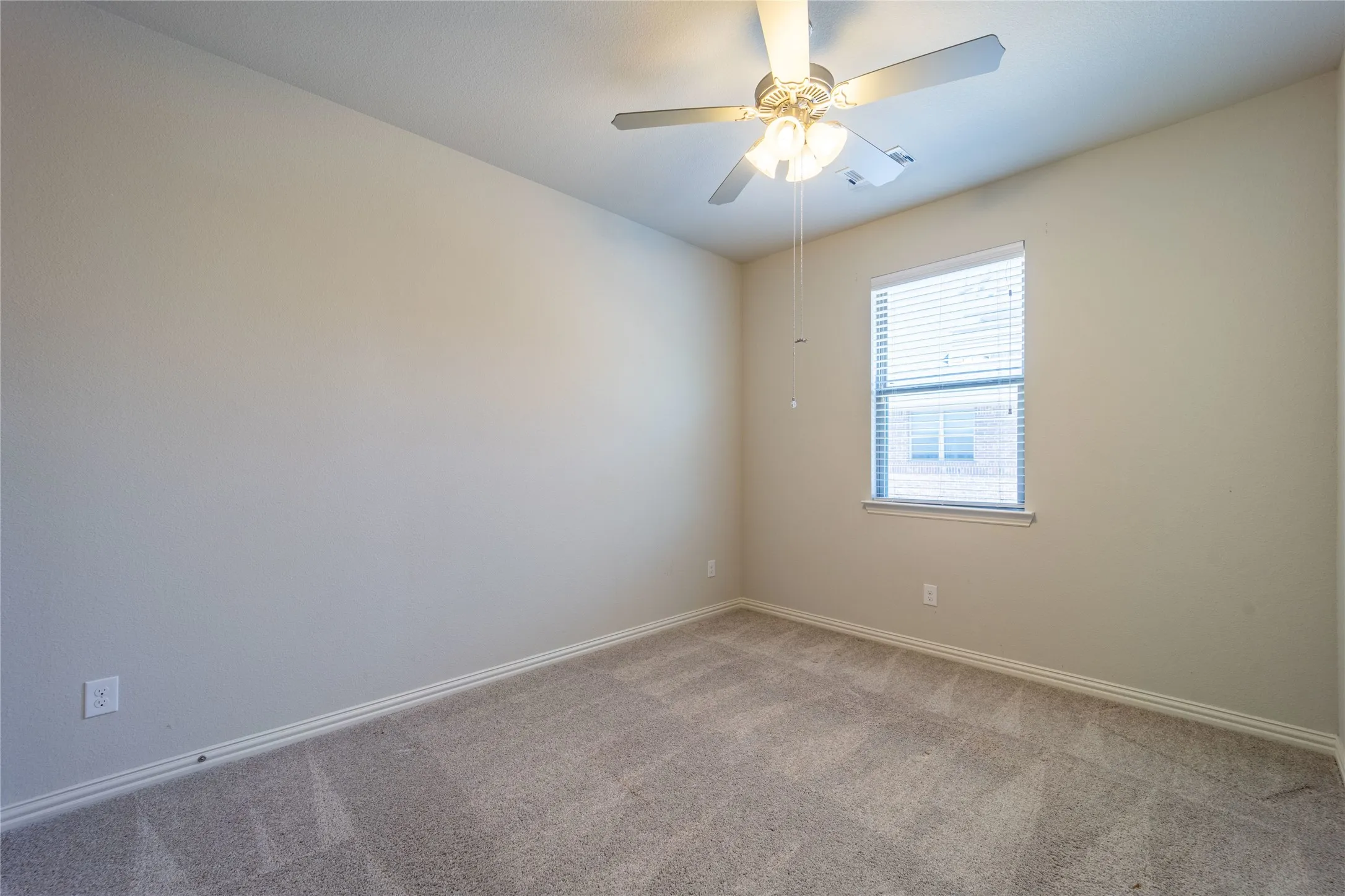 Lighted ceiling fan and extra plush carpet