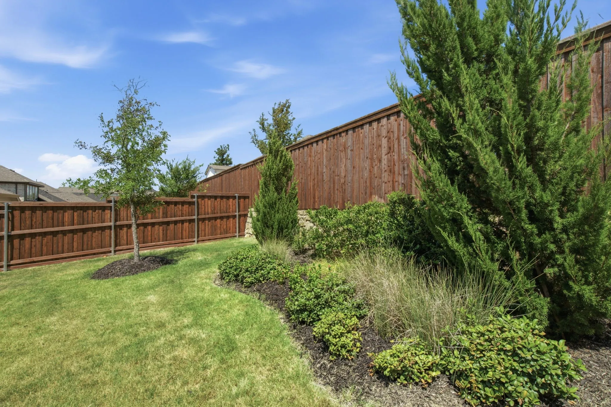 Expansive backyard featuring a manicured lawn, mature evergreen trees, and lush landscaping beds with ornamental shrubs