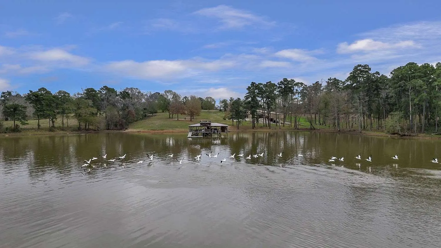 Manufactured Home For Sale in Sabine (TX) County , 111 Cypress Bay Drive, Milam, Texas 75959, 3 Bedroom, 3 Bathroom, 4 Garage spaces, 3,300 Sqft, built in 2023, Price $1,200,000, mls#21357113, Real Estate Agent in Milam, Homes For Sale in Sabine (TX) county, Homes For Sale in Milam, Realtor in Milam Texas, Real Estate Brokerage Independent Realty Texas, Luminita Cordes Realtor