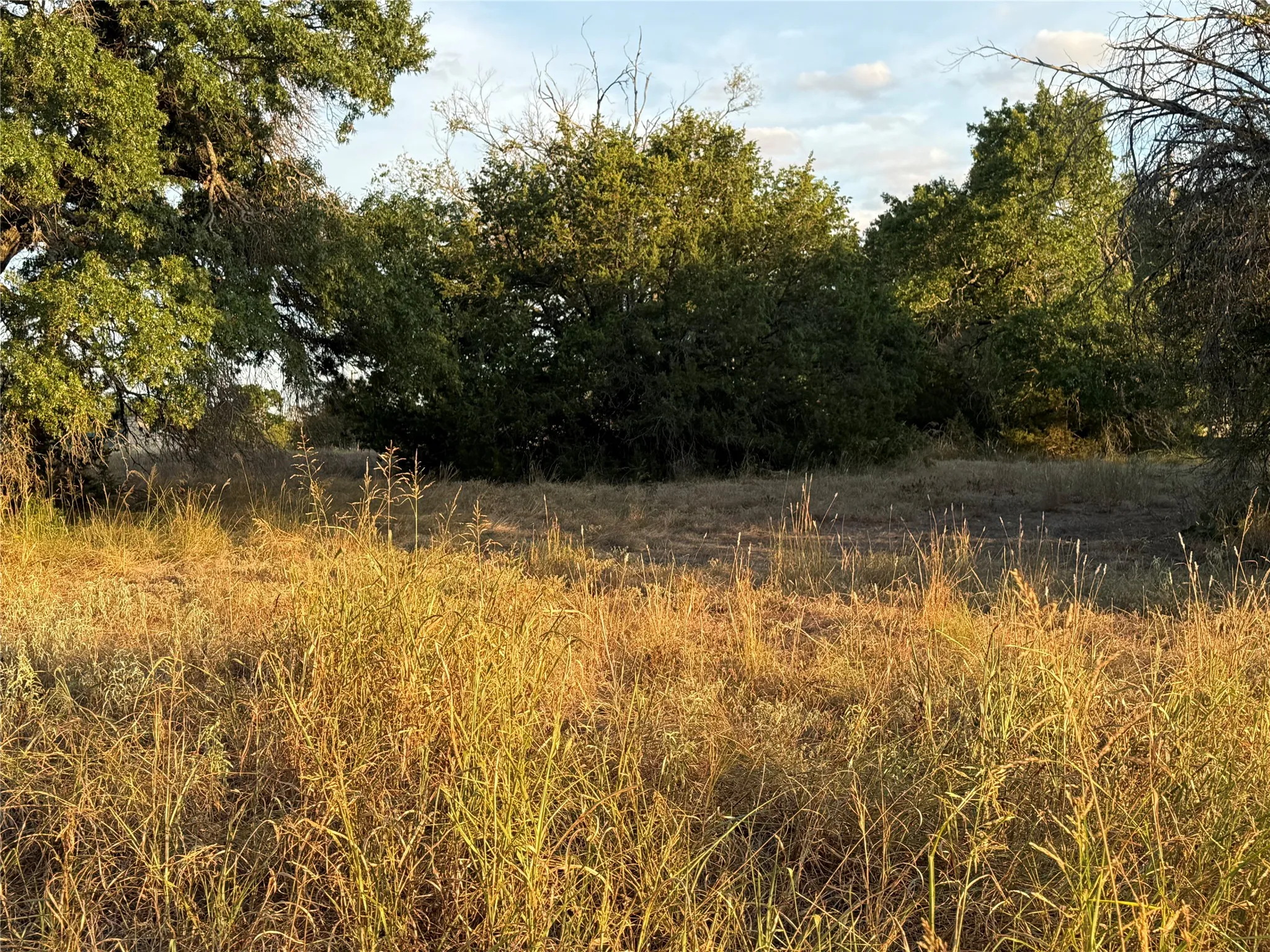 Unimproved Land For Sale in Bosque County , TBD CR 1526, Morgan, Texas 76671, 0, 0, Garage spaces, 0 Sqft, built in 0, Price $55,000, mls#21356666, Real Estate Agent in Morgan, Homes For Sale in Bosque county, Homes For Sale in Morgan, Realtor in Morgan Texas, Real Estate Brokerage Independent Realty Texas, Luminita Cordes Realtor