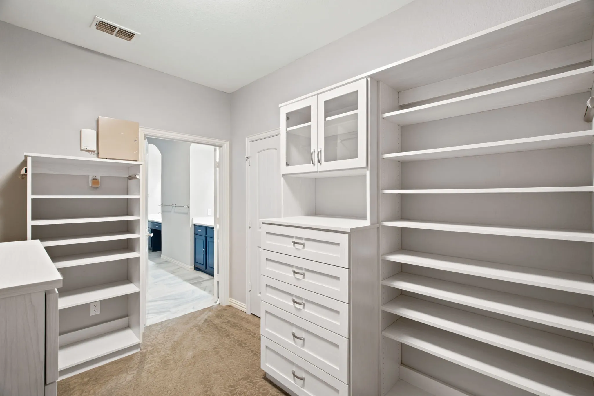 Built-in shelving, cabinet storage with glass-front uppers, drawer storage, and carpet flooring