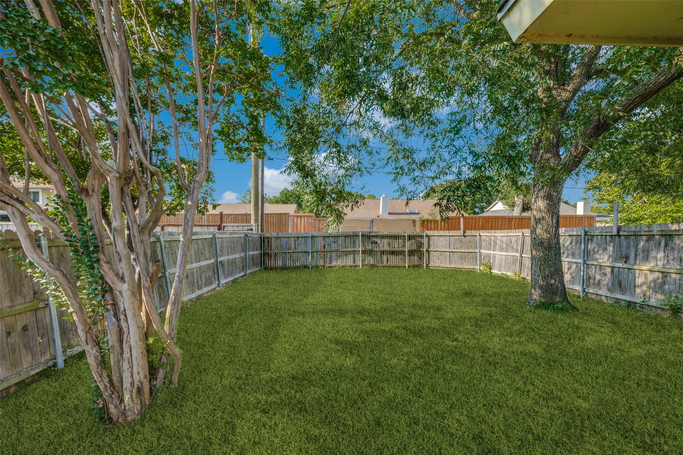Spacious back yard