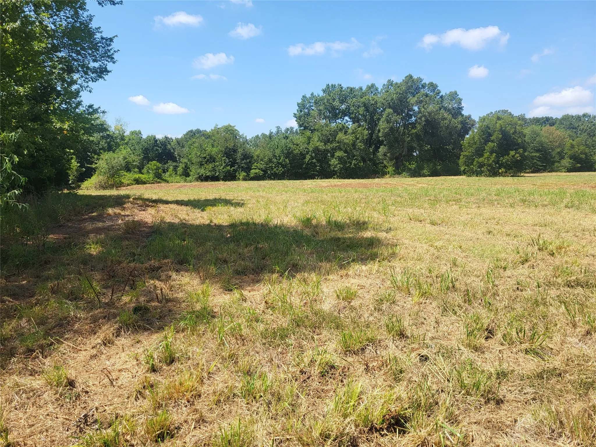 Improved Land For Sale in Red River (TX) County , 925 S MAIN, Detroit, Texas 75436, 0, 0, Garage spaces, 0 Sqft, built in 0, Price $168,150, mls#21357069, Real Estate Agent in Detroit, Homes For Sale in Red River (TX) county, Homes For Sale in Detroit, Realtor in Detroit Texas, Real Estate Brokerage Independent Realty Texas, Luminita Cordes Realtor