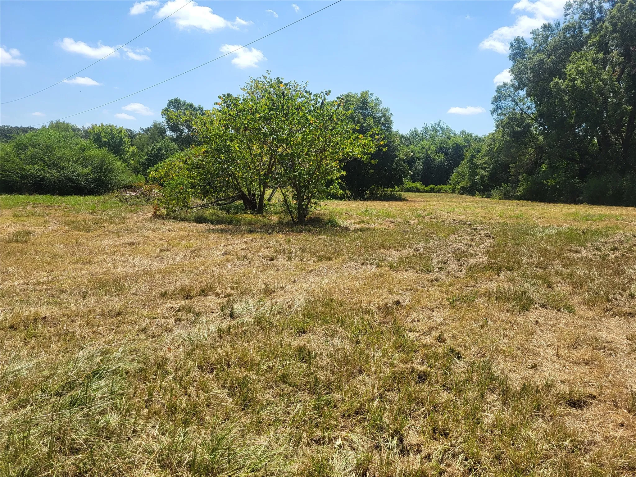 Improved Land For Sale in Red River (TX) County , 925 S MAIN, Detroit, Texas 75436, 0, 0, Garage spaces, 0 Sqft, built in 0, Price $168,150, mls#21357069, Real Estate Agent in Detroit, Homes For Sale in Red River (TX) county, Homes For Sale in Detroit, Realtor in Detroit Texas, Real Estate Brokerage Independent Realty Texas, Luminita Cordes Realtor