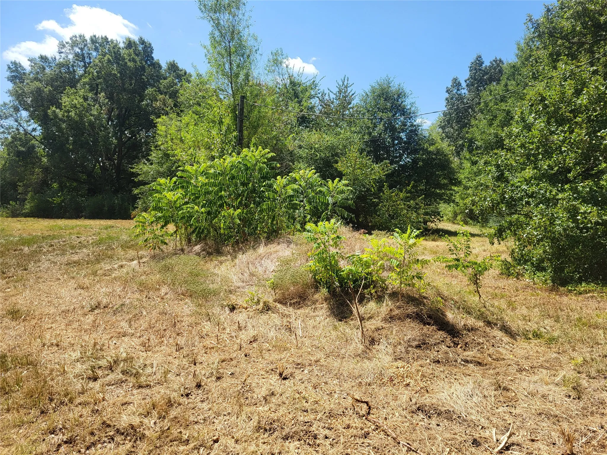 Improved Land For Sale in Red River (TX) County , 925 S MAIN, Detroit, Texas 75436, 0, 0, Garage spaces, 0 Sqft, built in 0, Price $168,150, mls#21357069, Real Estate Agent in Detroit, Homes For Sale in Red River (TX) county, Homes For Sale in Detroit, Realtor in Detroit Texas, Real Estate Brokerage Independent Realty Texas, Luminita Cordes Realtor