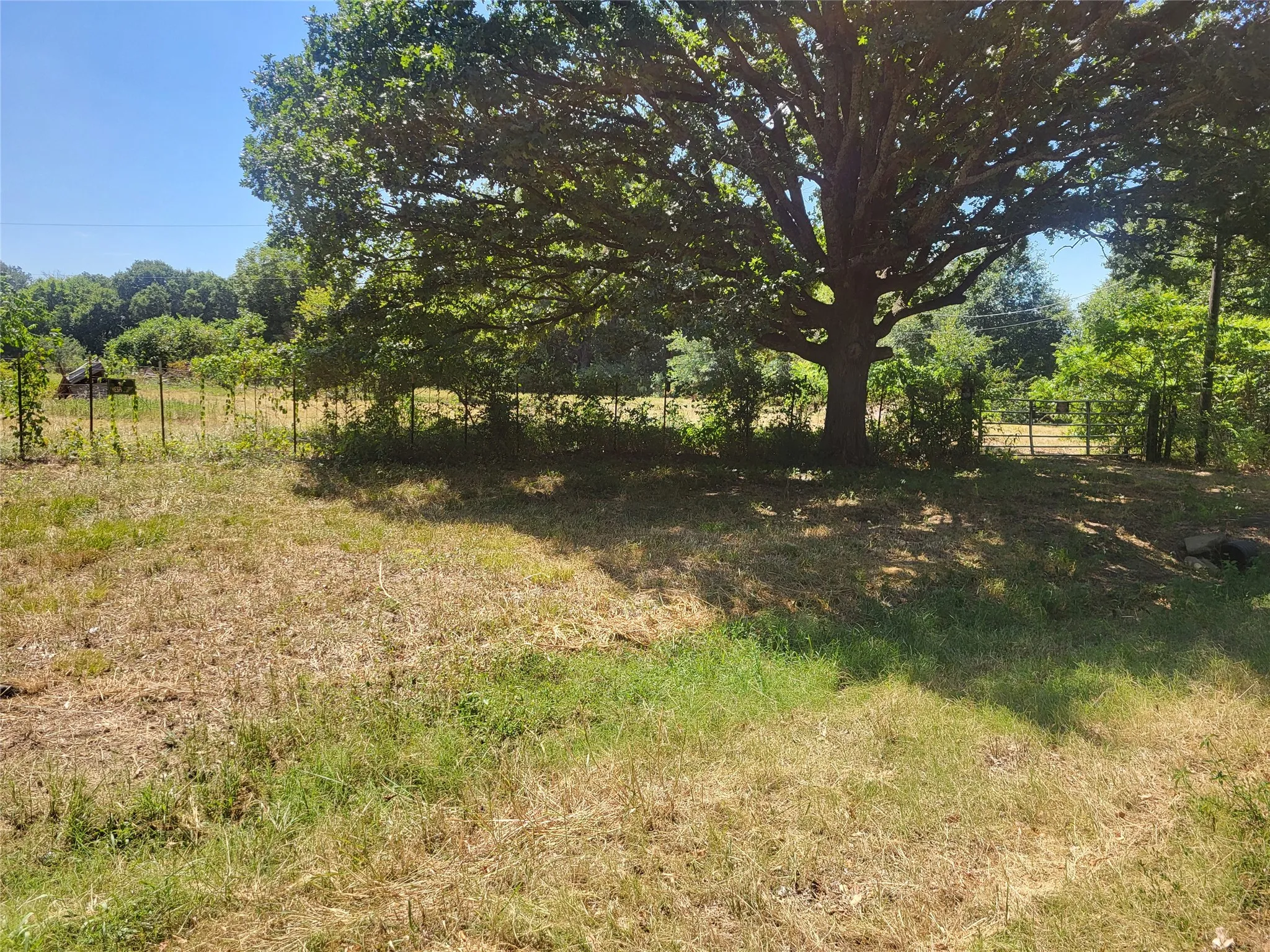 Improved Land For Sale in Red River (TX) County , 925 S MAIN, Detroit, Texas 75436, 0, 0, Garage spaces, 0 Sqft, built in 0, Price $168,150, mls#21357069, Real Estate Agent in Detroit, Homes For Sale in Red River (TX) county, Homes For Sale in Detroit, Realtor in Detroit Texas, Real Estate Brokerage Independent Realty Texas, Luminita Cordes Realtor