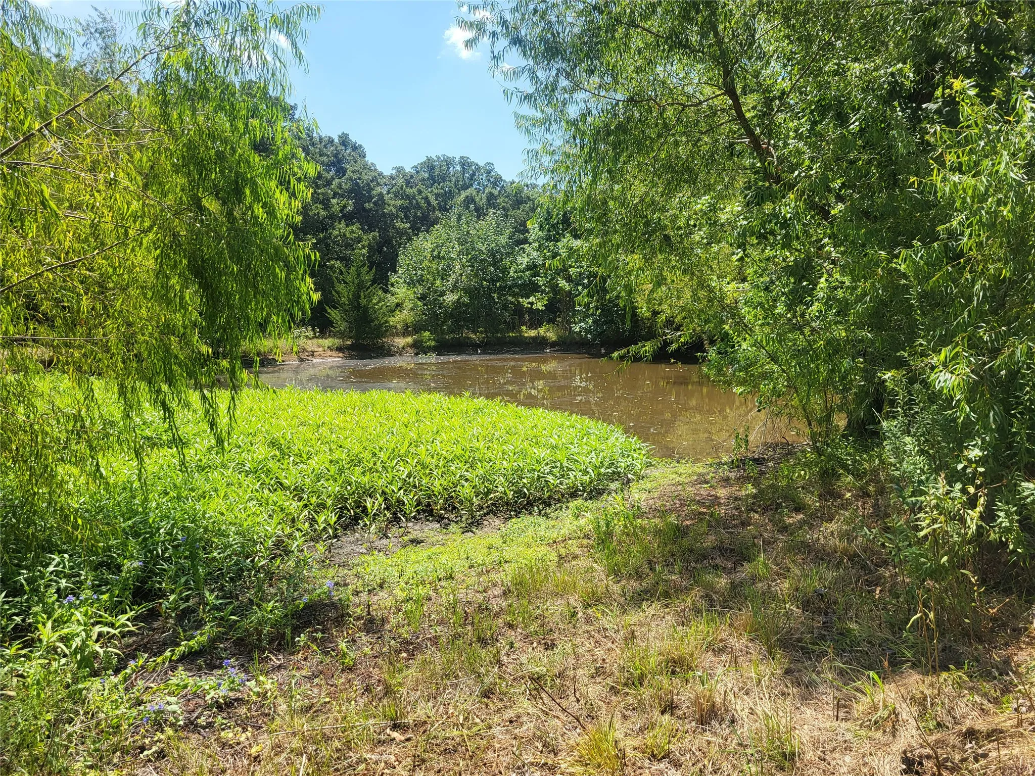 Improved Land For Sale in Red River (TX) County , 925 S MAIN, Detroit, Texas 75436, 0, 0, Garage spaces, 0 Sqft, built in 0, Price $168,150, mls#21357069, Real Estate Agent in Detroit, Homes For Sale in Red River (TX) county, Homes For Sale in Detroit, Realtor in Detroit Texas, Real Estate Brokerage Independent Realty Texas, Luminita Cordes Realtor