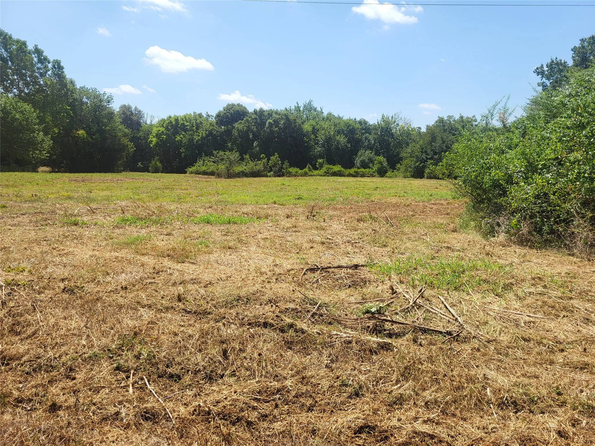 Improved Land For Sale in Red River (TX) County , 925 S MAIN, Detroit, Texas 75436, 0, 0, Garage spaces, 0 Sqft, built in 0, Price $168,150, mls#21357069, Real Estate Agent in Detroit, Homes For Sale in Red River (TX) county, Homes For Sale in Detroit, Realtor in Detroit Texas, Real Estate Brokerage Independent Realty Texas, Luminita Cordes Realtor