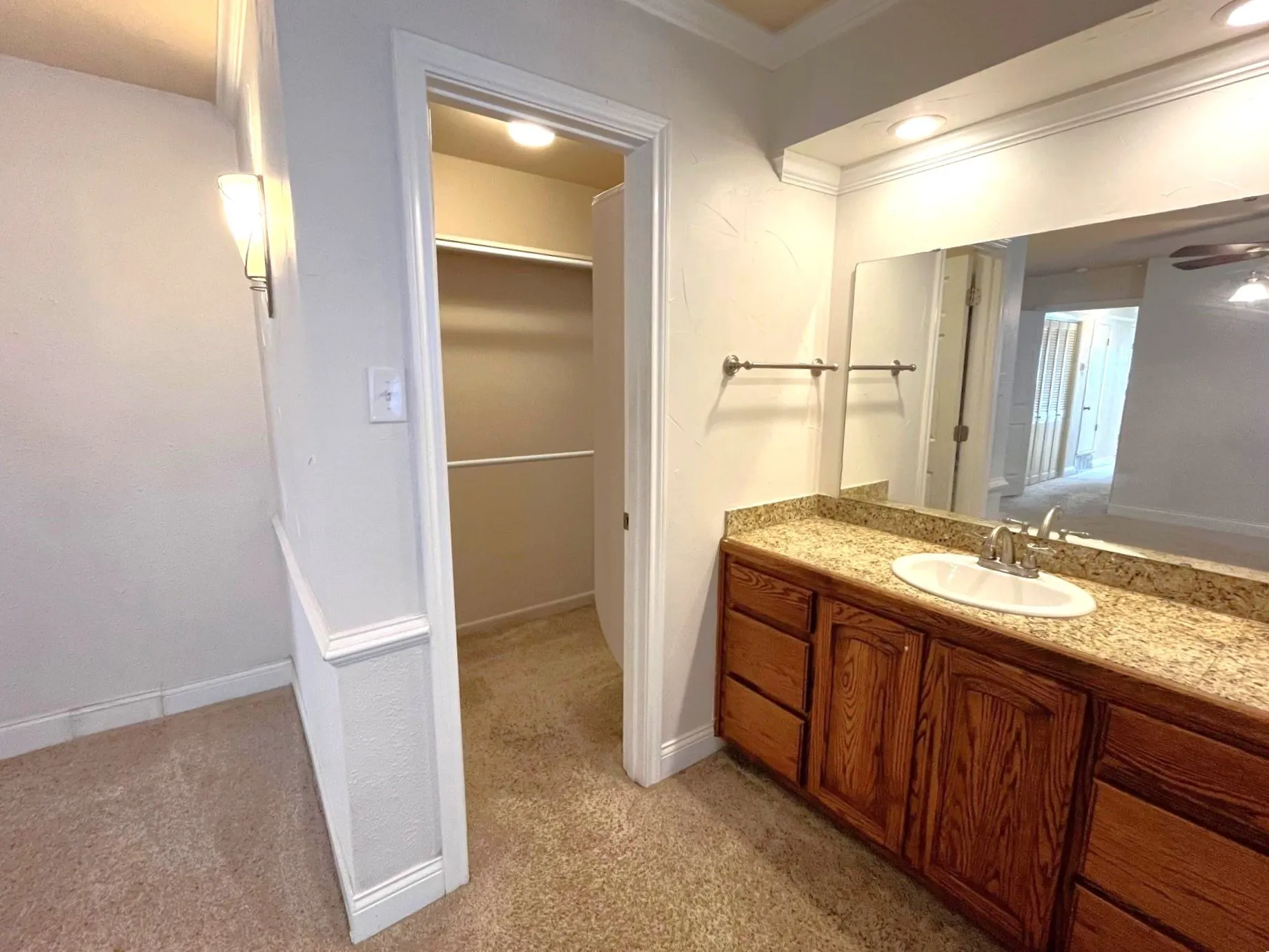 Ensuite Bathroom Vanity and closet