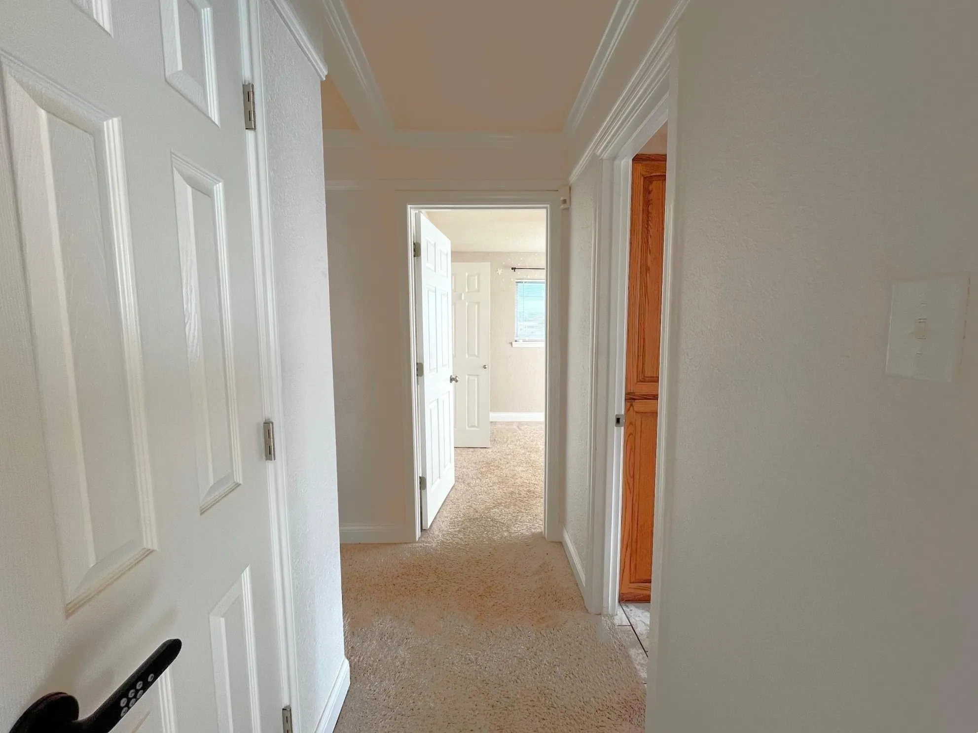 Carpeted hallway with white interior doors, crown molding, and built-in wood-finish cabinetry
