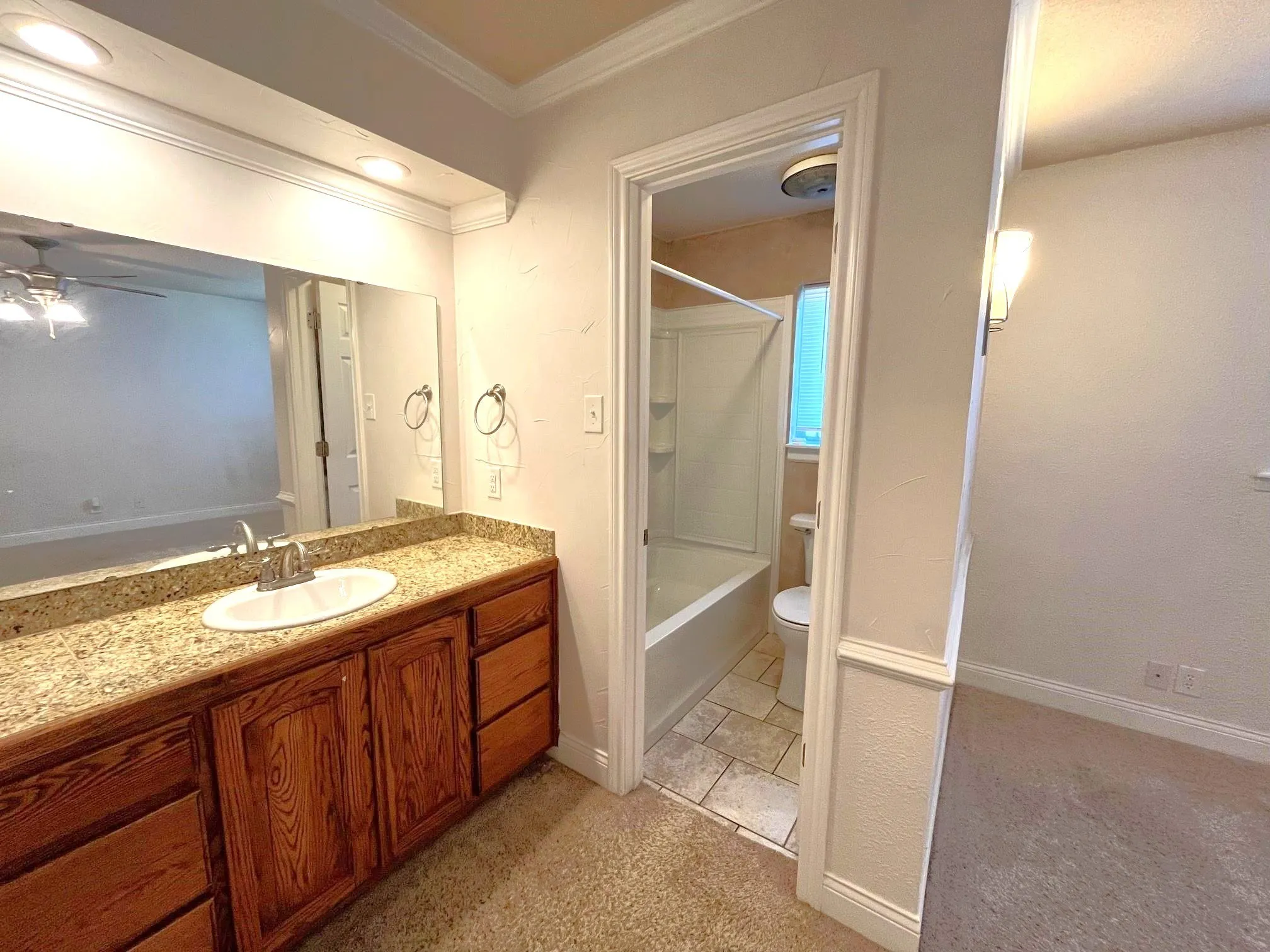 Ensuite Bathroom  & Vanity