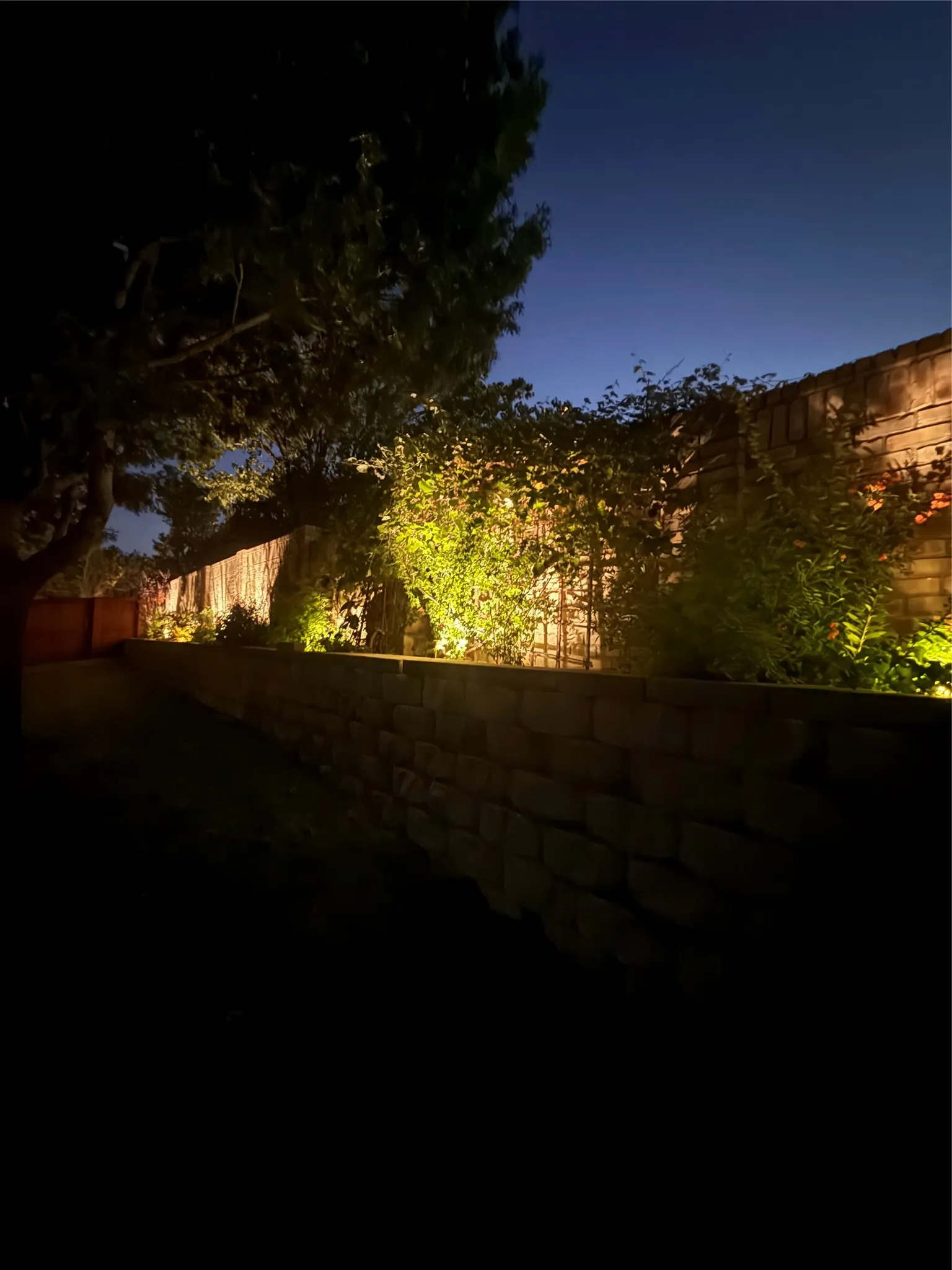 Evening picture to show landscape lighting.