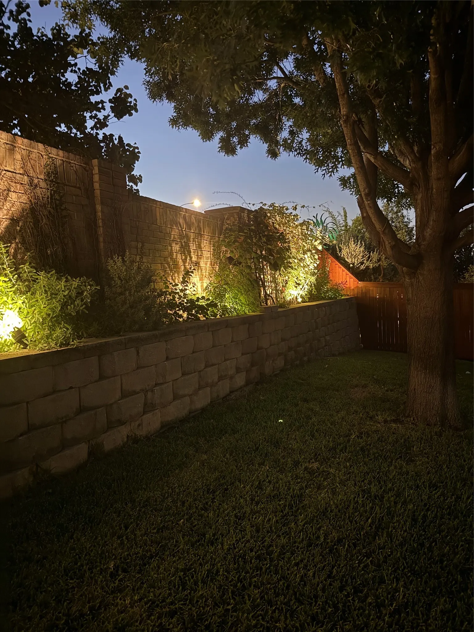 Evening picture to show landscape lighting.