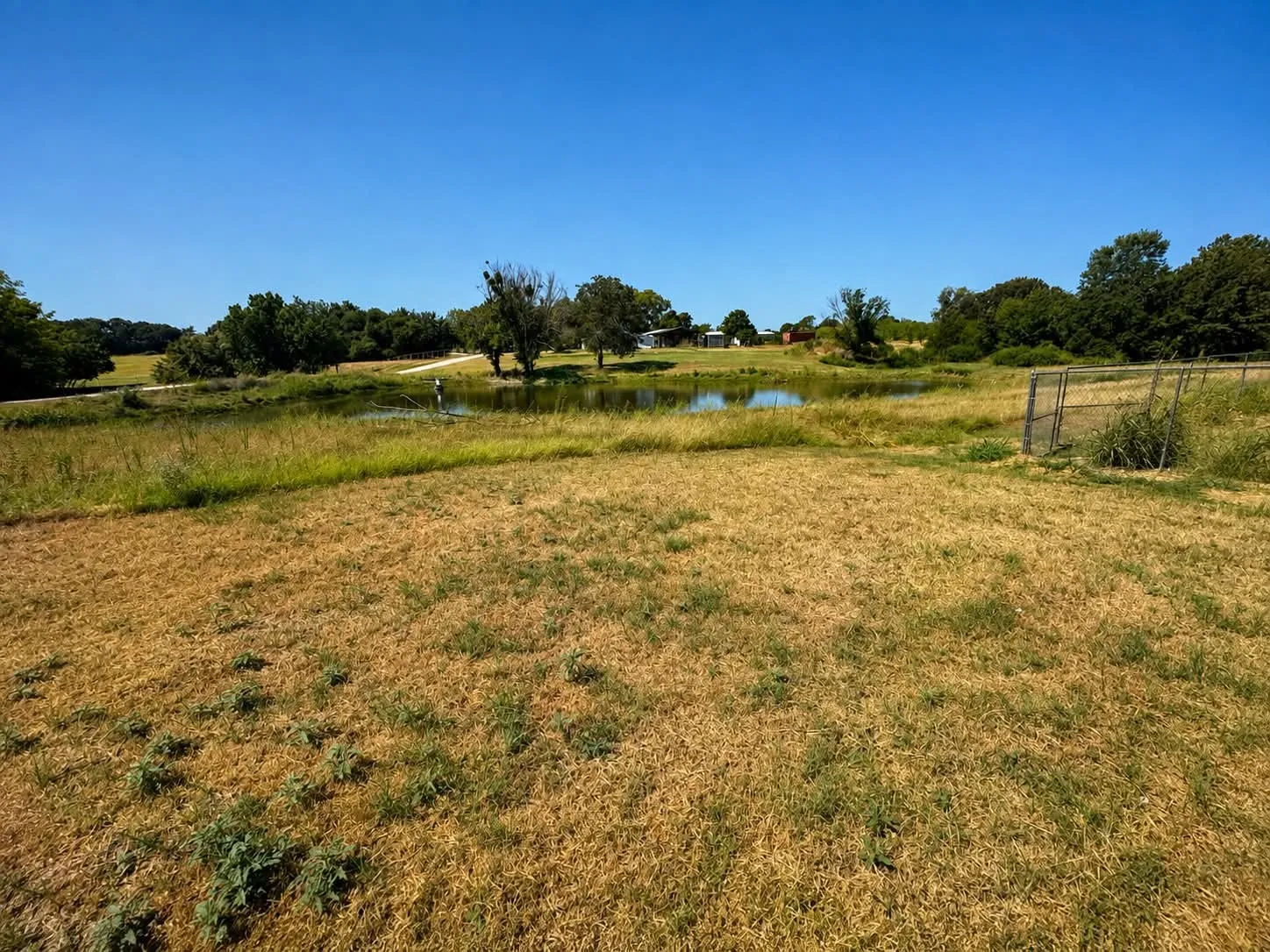 Pond in the back