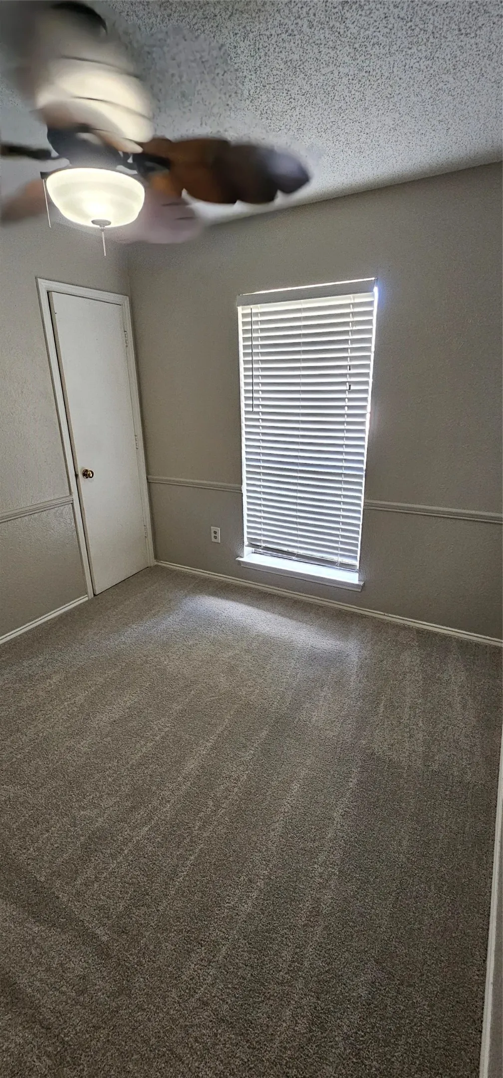 Duplex For Rent in Collin County , 3403 Hilltop Lane, Plano, Texas 75023, 3 Bedroom, 2 Bathroom, 2 Garage spaces, 1,318 Sqft, built in 1983, mls#21357177, Real Estate Agent in Plano, Homes For Rent in Collin county, Homes For Rent in Plano, Realtor in Plano Texas, Real Estate Brokerage Independent Realty Texas, Luminita Cordes Realtor