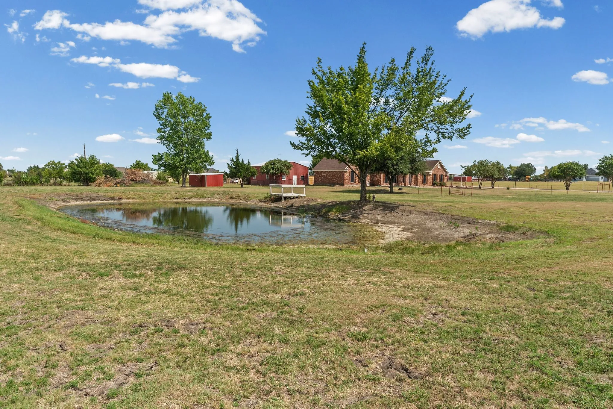 Pond view