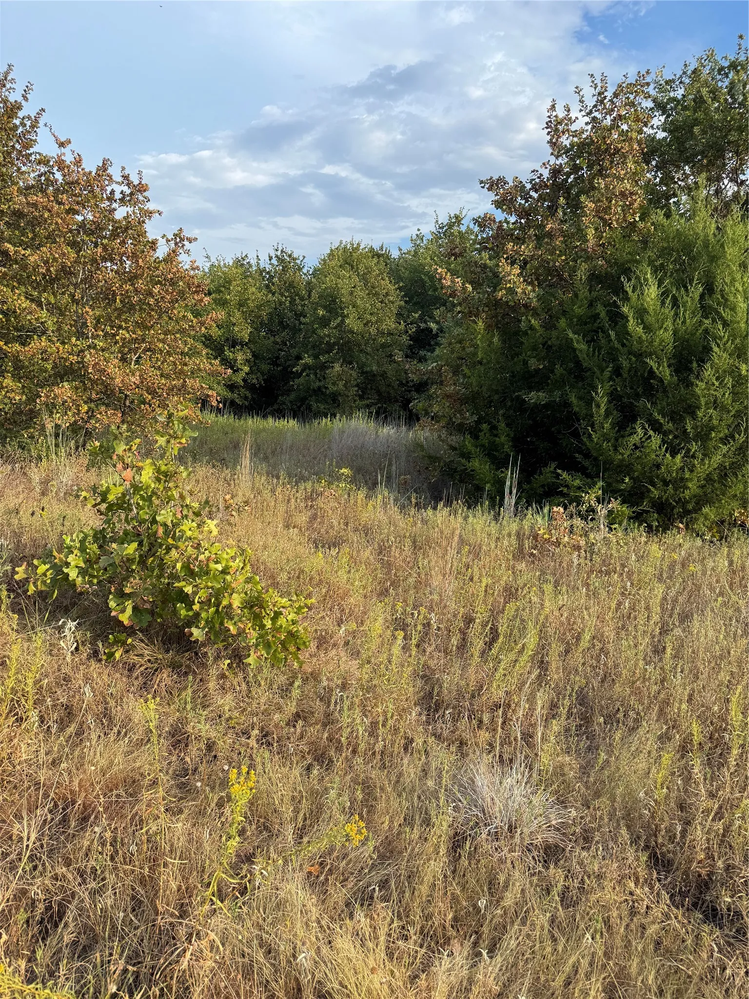 Unimproved Land For Sale in Parker County , TBD New Hope Road, Boyd, Texas 76023, 0, 0, Garage spaces, 0 Sqft, built in 0, mls#21357150, Real Estate Agent in Boyd, Homes For Sale in Parker county, Homes For Sale in Boyd, Realtor in Boyd Texas, Real Estate Brokerage Independent Realty Texas, Luminita Cordes Realtor