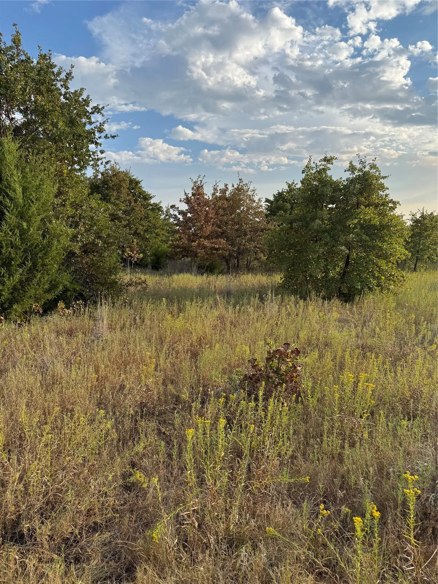 Unimproved Land For Sale in Parker County , TBD New Hope Road, Boyd, Texas 76023, 0, 0, Garage spaces, 0 Sqft, built in 0, mls#21357150, Real Estate Agent in Boyd, Homes For Sale in Parker county, Homes For Sale in Boyd, Realtor in Boyd Texas, Real Estate Brokerage Independent Realty Texas, Luminita Cordes Realtor