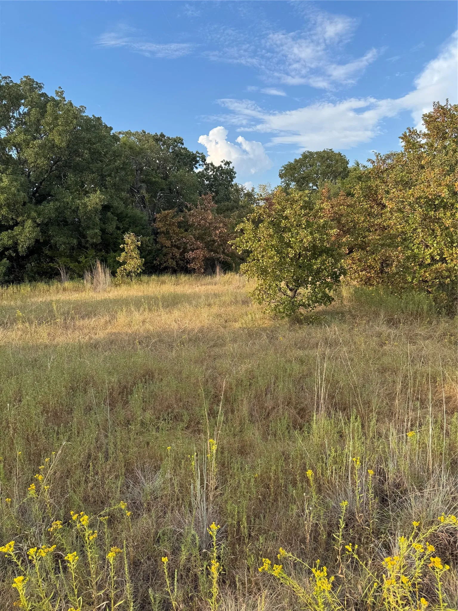 Unimproved Land For Sale in Parker County , TBD New Hope Road, Boyd, Texas 76023, 0, 0, Garage spaces, 0 Sqft, built in 0, mls#21357150, Real Estate Agent in Boyd, Homes For Sale in Parker county, Homes For Sale in Boyd, Realtor in Boyd Texas, Real Estate Brokerage Independent Realty Texas, Luminita Cordes Realtor