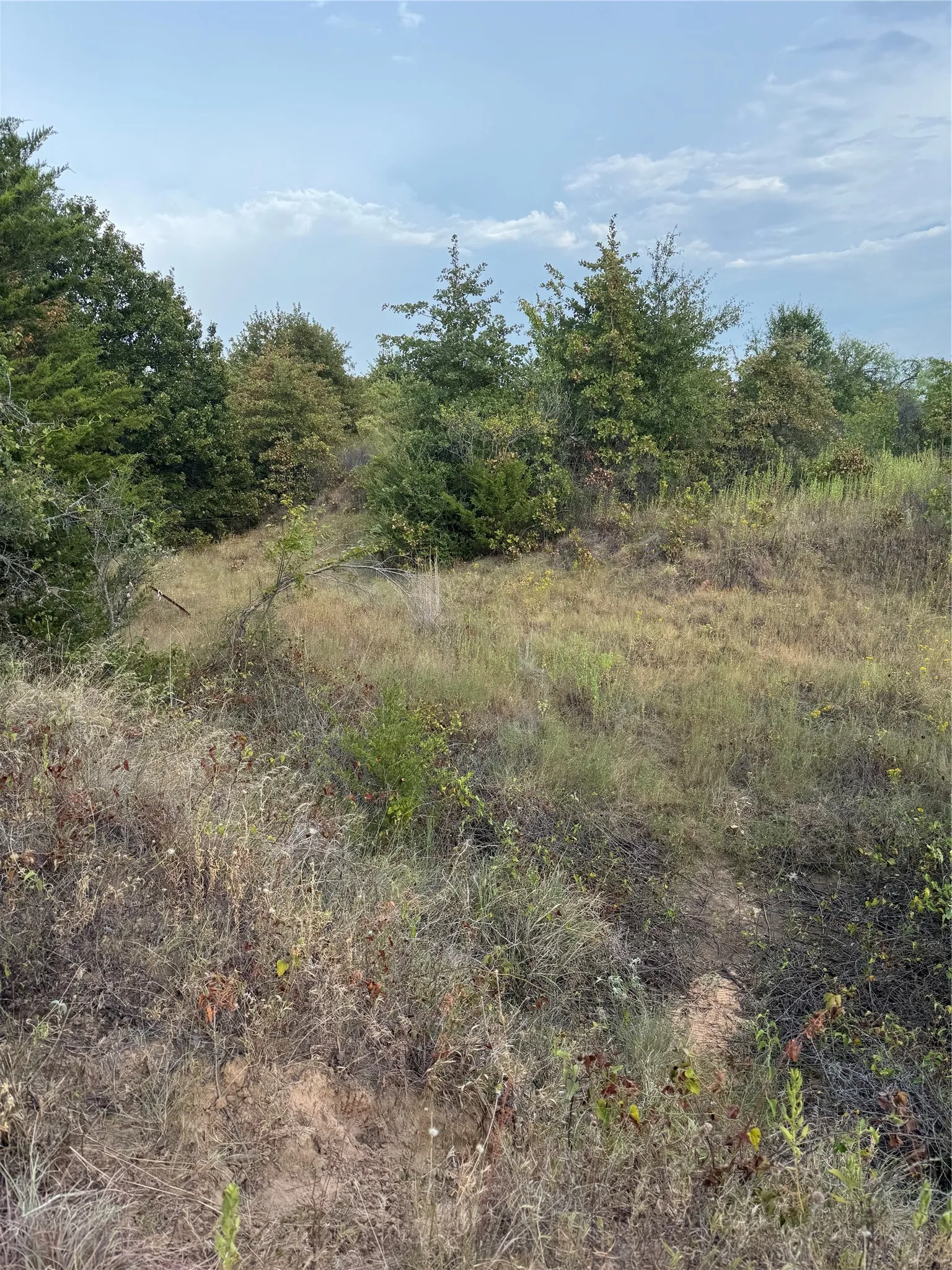 Unimproved Land For Sale in Parker County , TBD New Hope Road, Boyd, Texas 76023, 0, 0, Garage spaces, 0 Sqft, built in 0, mls#21357150, Real Estate Agent in Boyd, Homes For Sale in Parker county, Homes For Sale in Boyd, Realtor in Boyd Texas, Real Estate Brokerage Independent Realty Texas, Luminita Cordes Realtor