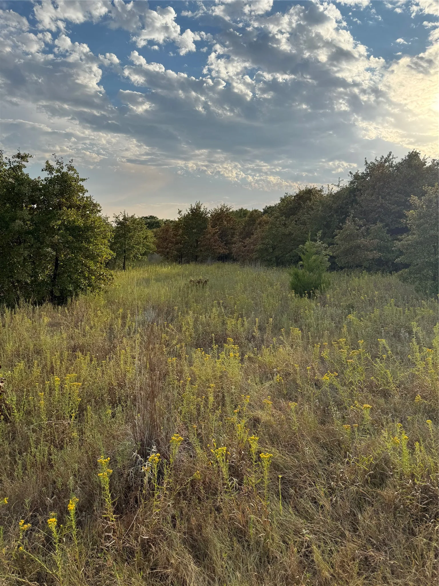 Unimproved Land For Sale in Parker County , TBD New Hope Road, Boyd, Texas 76023, 0, 0, Garage spaces, 0 Sqft, built in 0, mls#21357150, Real Estate Agent in Boyd, Homes For Sale in Parker county, Homes For Sale in Boyd, Realtor in Boyd Texas, Real Estate Brokerage Independent Realty Texas, Luminita Cordes Realtor