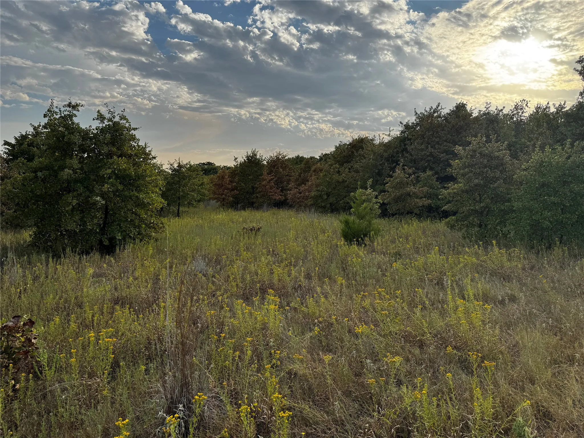 Unimproved Land For Sale in Parker County , TBD New Hope Road, Boyd, Texas 76023, 0, 0, Garage spaces, 0 Sqft, built in 0, mls#21357150, Real Estate Agent in Boyd, Homes For Sale in Parker county, Homes For Sale in Boyd, Realtor in Boyd Texas, Real Estate Brokerage Independent Realty Texas, Luminita Cordes Realtor