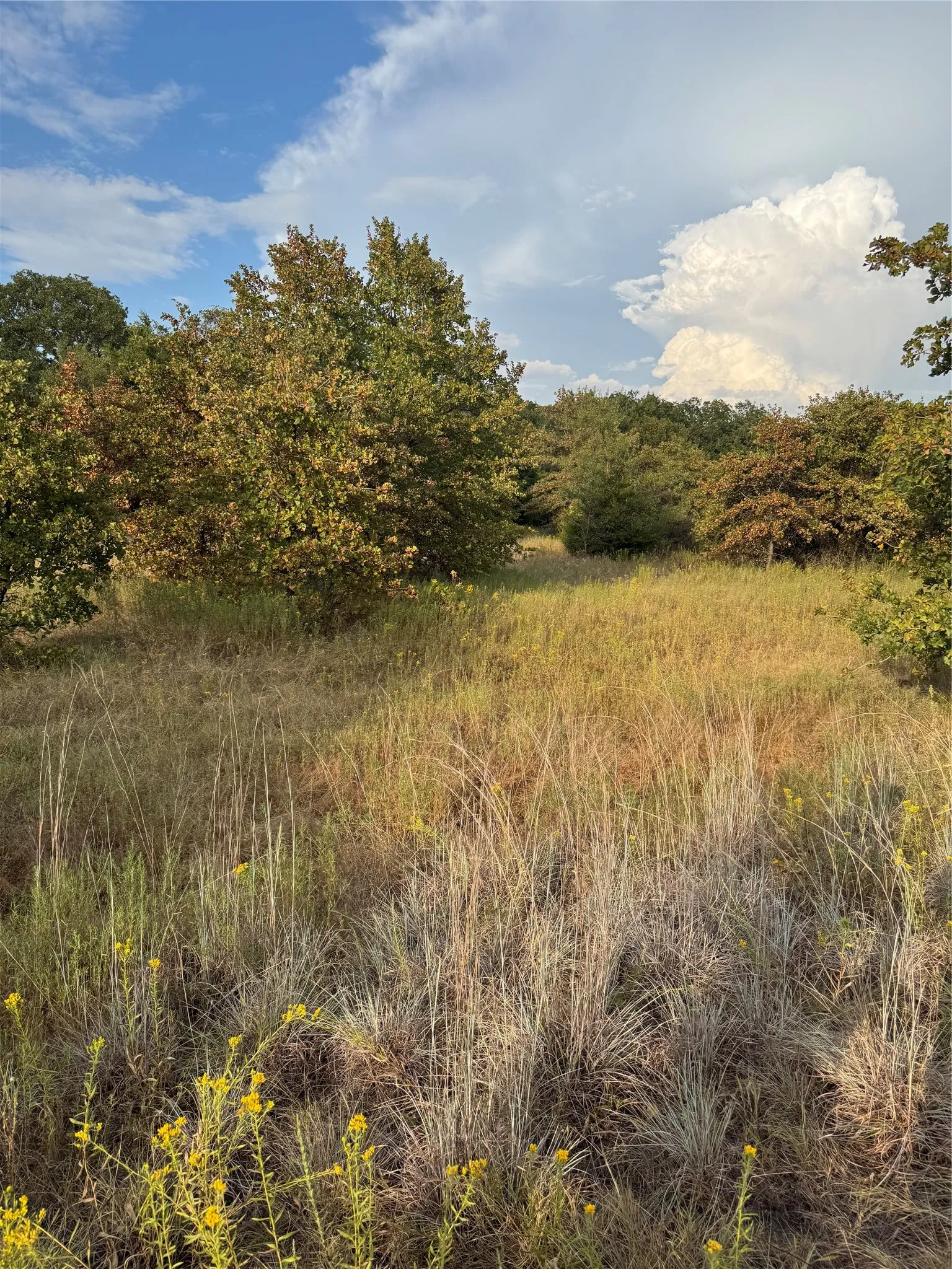 Unimproved Land For Sale in Parker County , TBD New Hope Road, Boyd, Texas 76023, 0, 0, Garage spaces, 0 Sqft, built in 0, mls#21357150, Real Estate Agent in Boyd, Homes For Sale in Parker county, Homes For Sale in Boyd, Realtor in Boyd Texas, Real Estate Brokerage Independent Realty Texas, Luminita Cordes Realtor