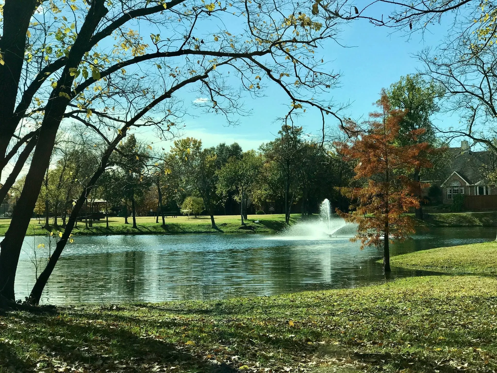 Gorgeous hiking trails and ponds in this amazing neighborhood