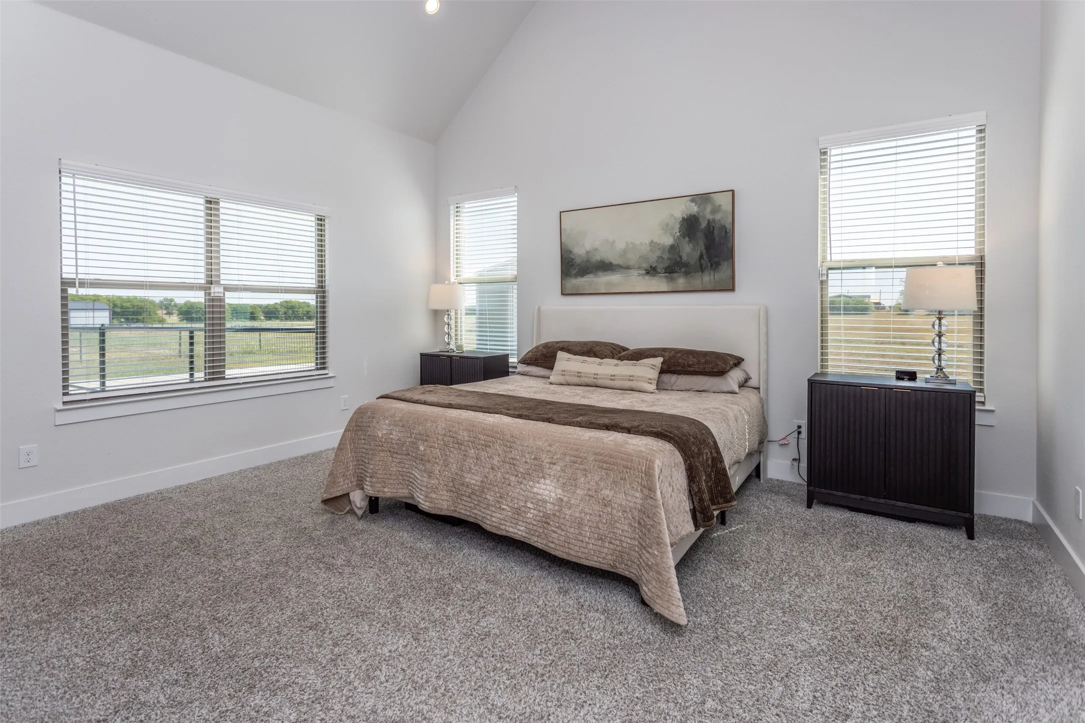 Vaulted ceiling, bright white walls, multiple windows with blinds, and soft grey carpeting