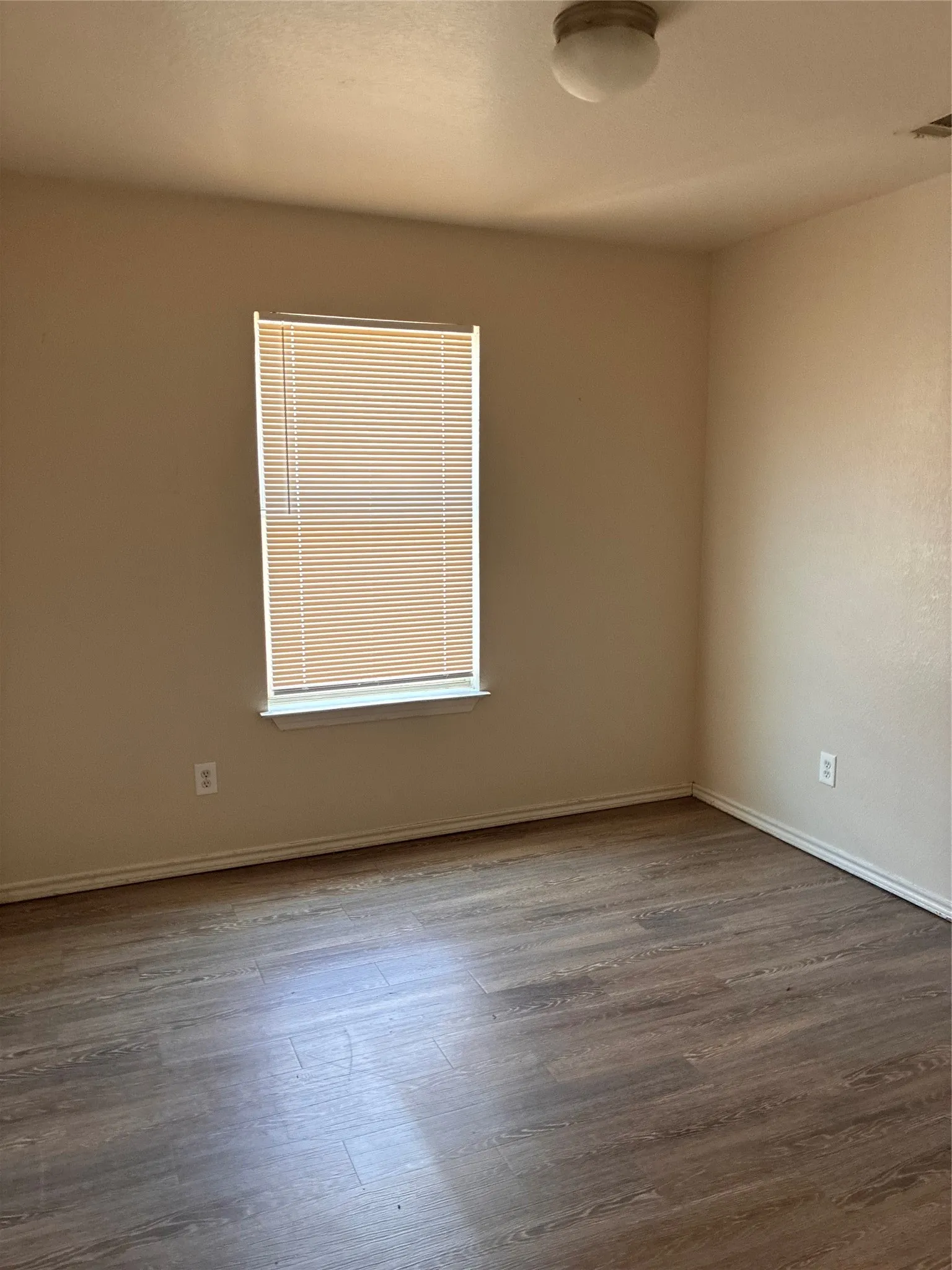Neutral wall tones, wood-finish flooring, and a flush mount ceiling light fixture