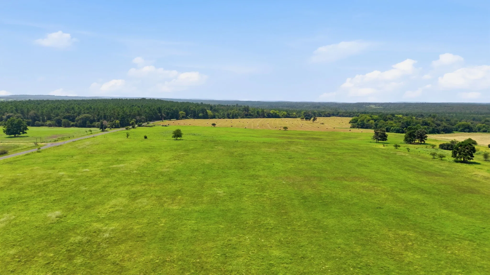 Expansive green pastureland with scattered mature trees, bordered by a dense forest