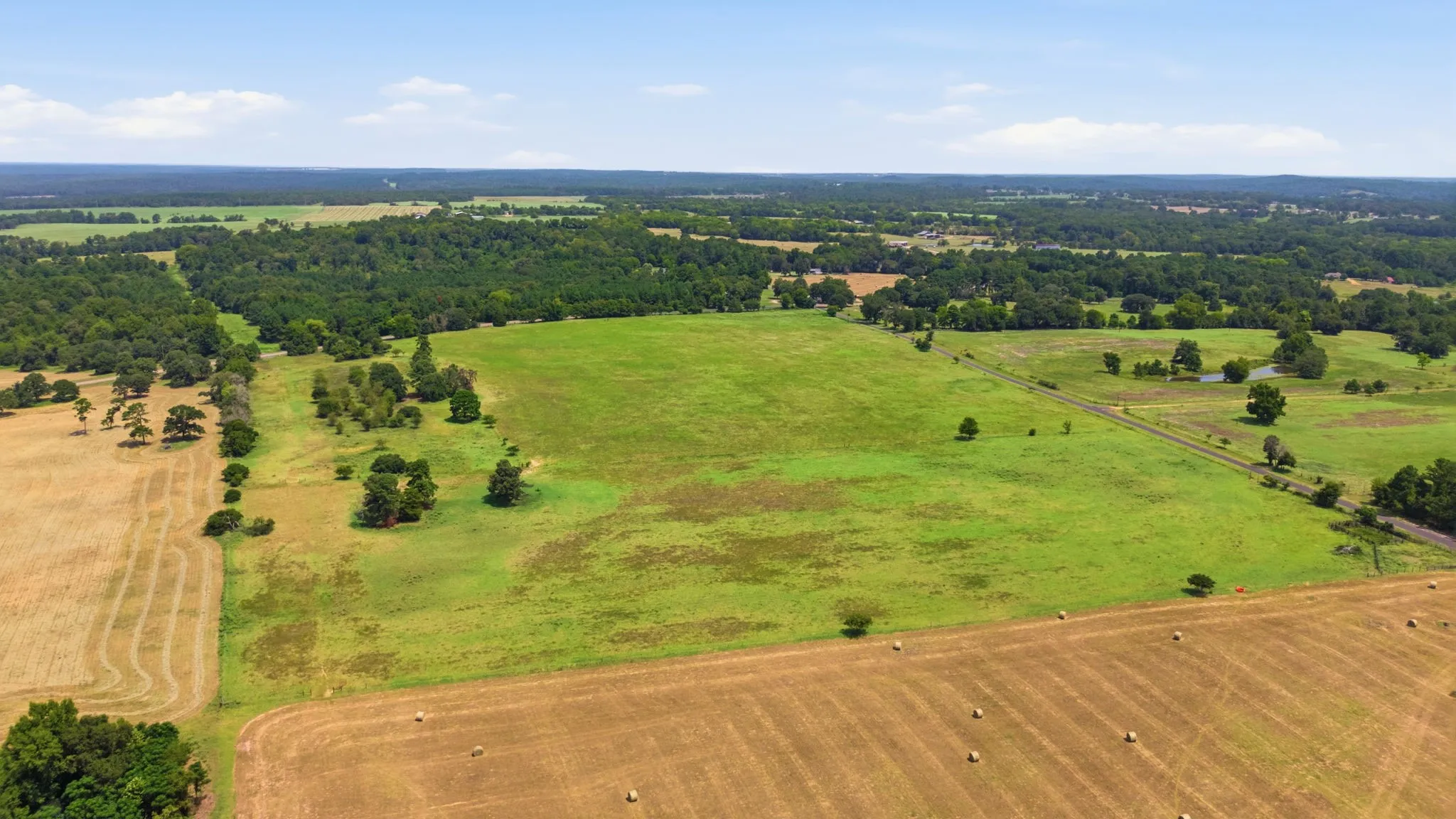 Expansive rural landscape featuring open fields, scattered mature trees, and distant wooded areas