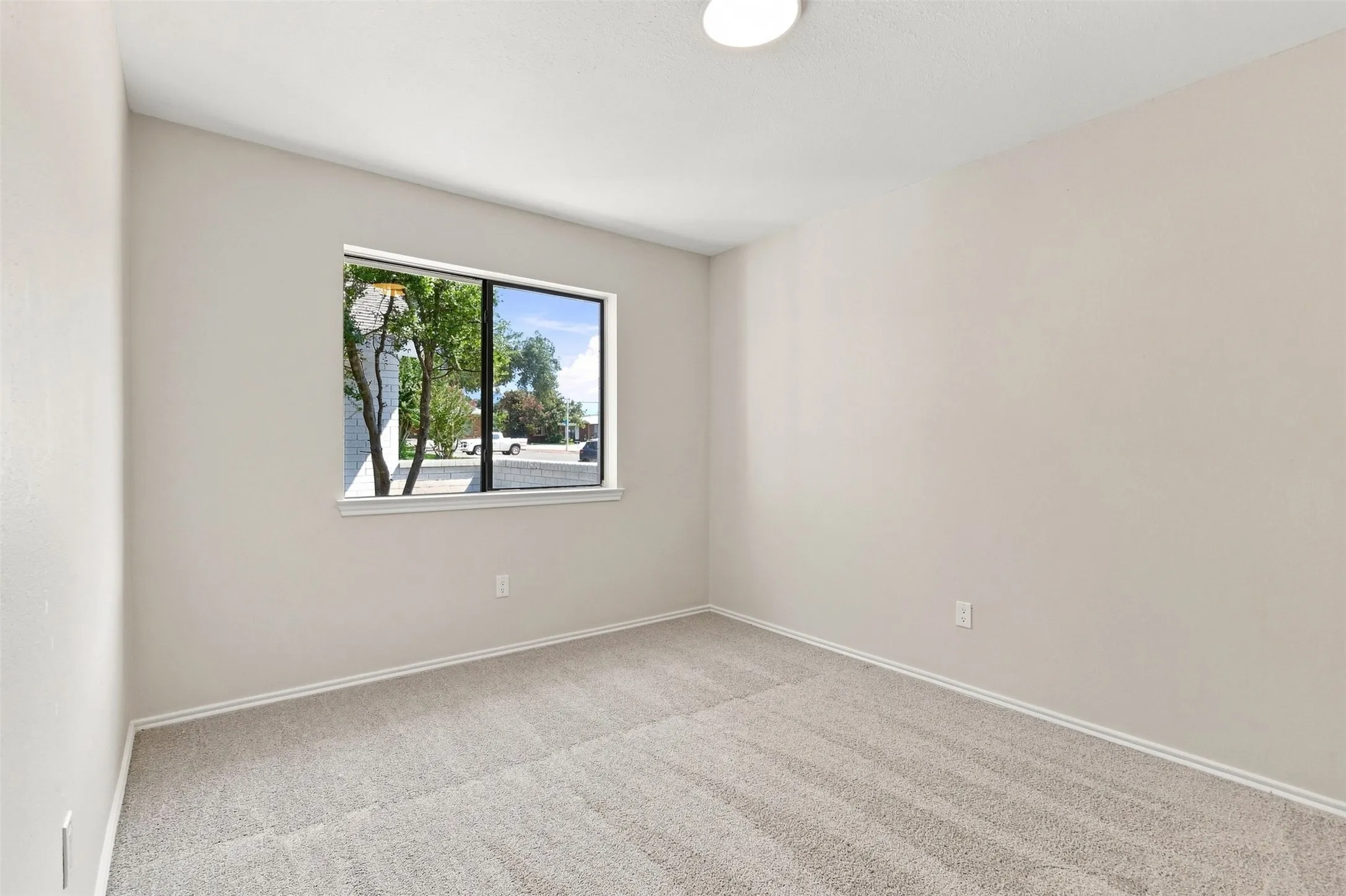 Wall-to-wall carpeting, neutral wall finishes, and a single window with a white sill