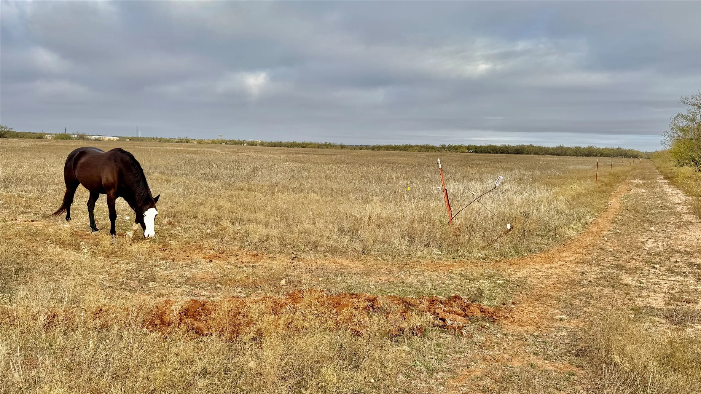 Unimproved Land For Sale in Taylor County , TBD Iberis Road, Abilene, Texas 79606, 0, 0, Garage spaces, 0 Sqft, built in 0, mls#21357340, Real Estate Agent in Abilene, Homes For Sale in Taylor county, Homes For Sale in Abilene, Realtor in Abilene Texas, Real Estate Brokerage Independent Realty Texas, Luminita Cordes Realtor