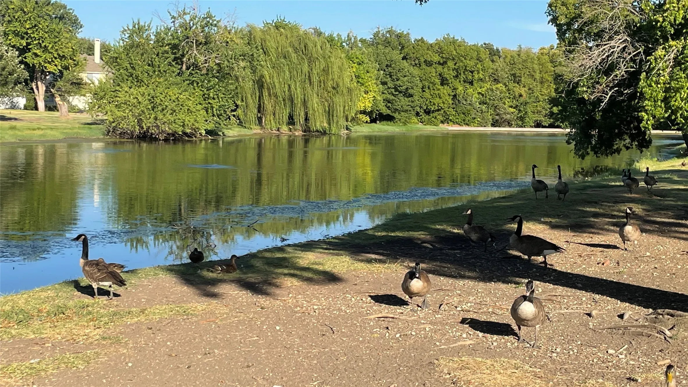 Walking distance to this
pond