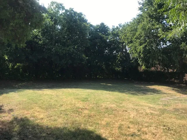 Back yard